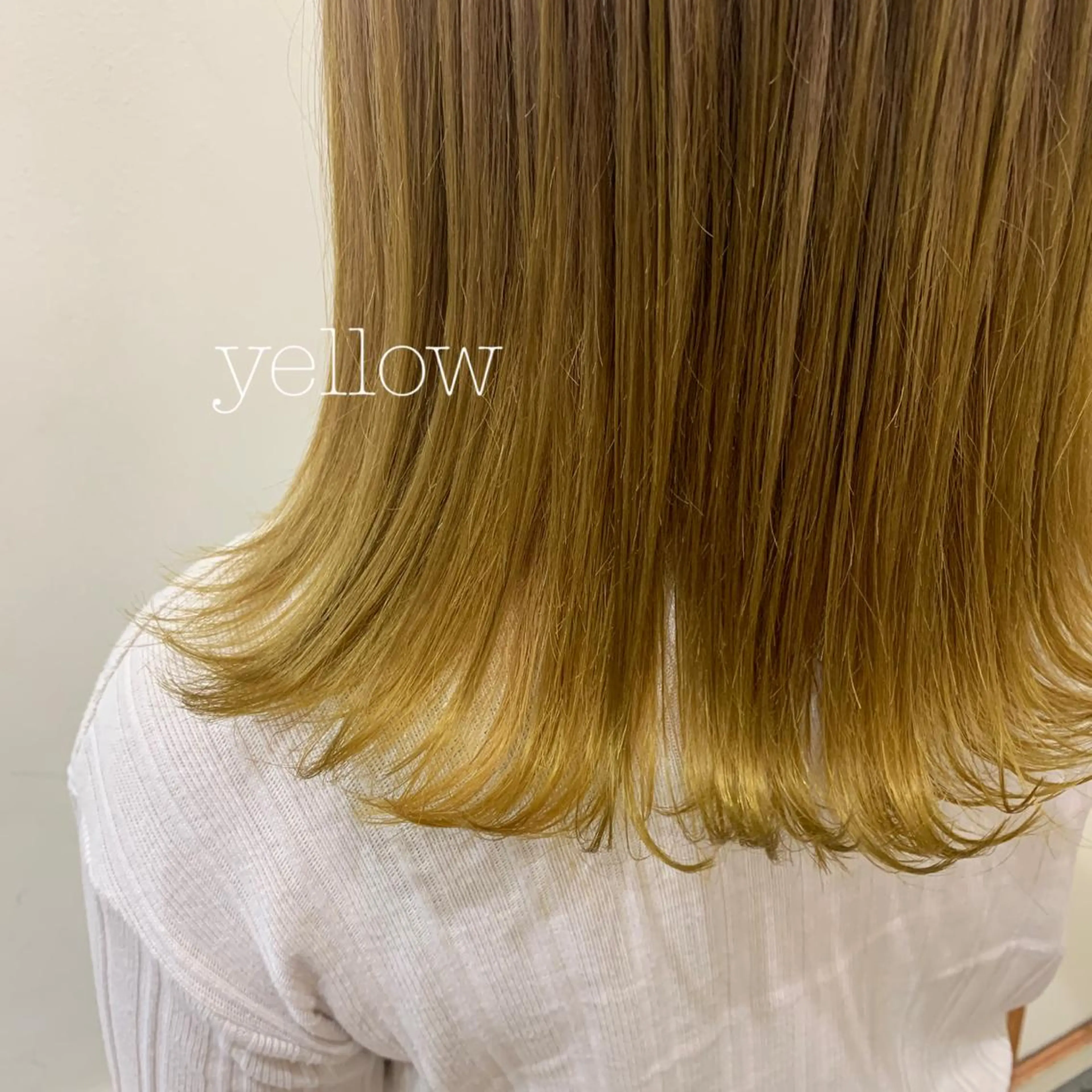 ミディアム カラー カット ヘアカラー トリートメント ぱつっとボブ/ 小野あかねのヘアスタイル