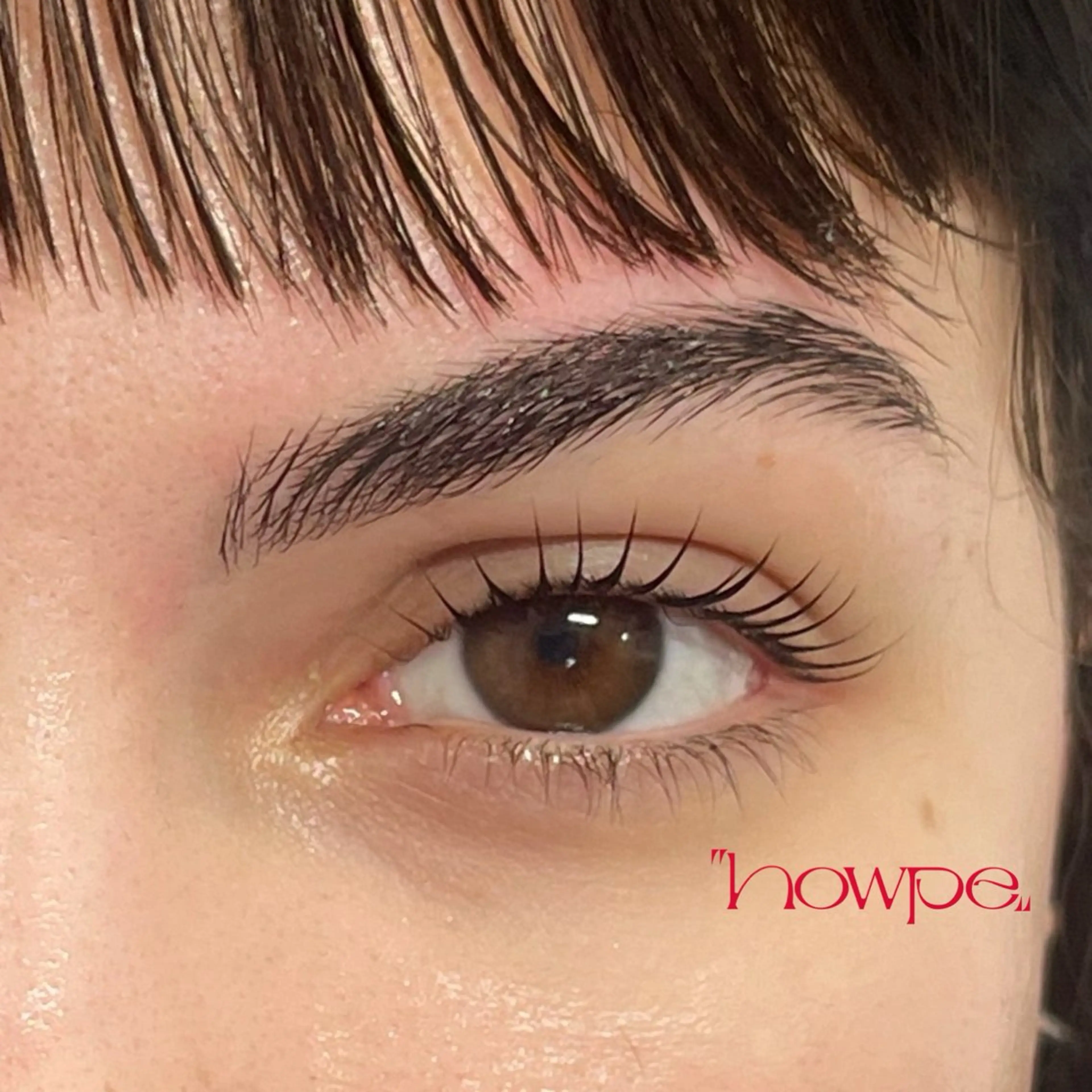 2/27.28当日限定🎀🈳‼️まつ毛パーマor美眉スタイリングの写真