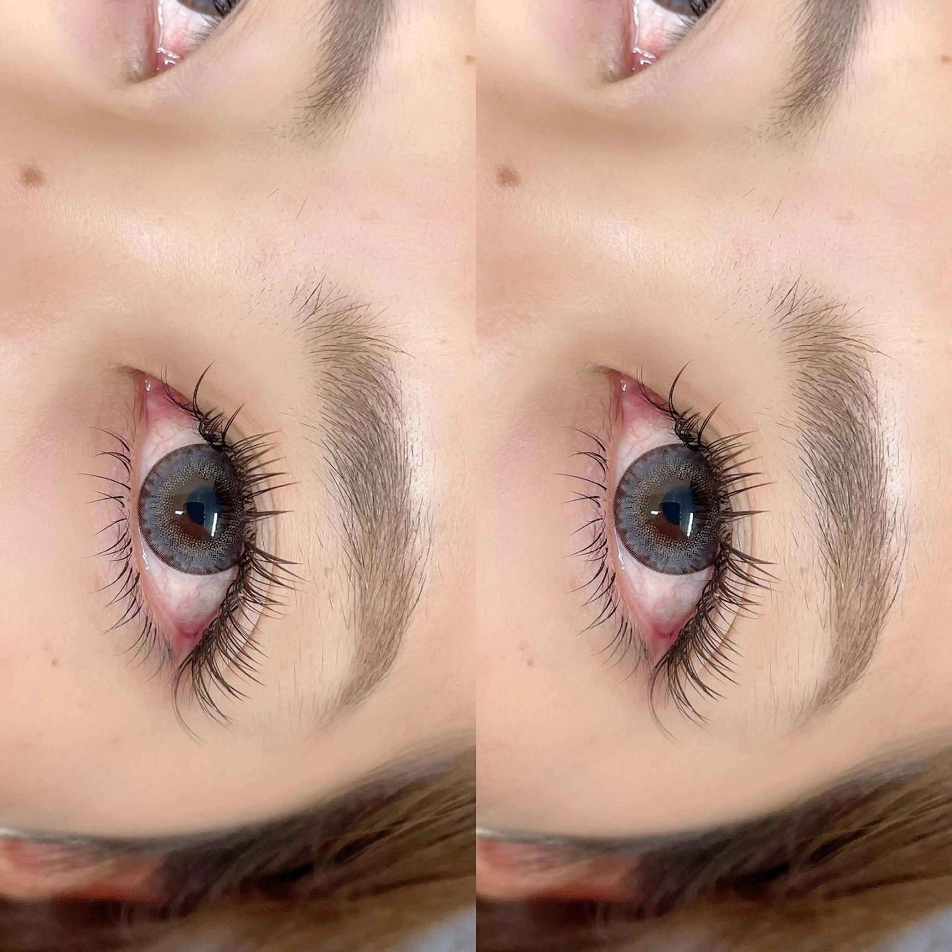 マツエク・マツパ フラットラッシュ BAMBI 🖤KAWAIのマツエク・マツパデザイン