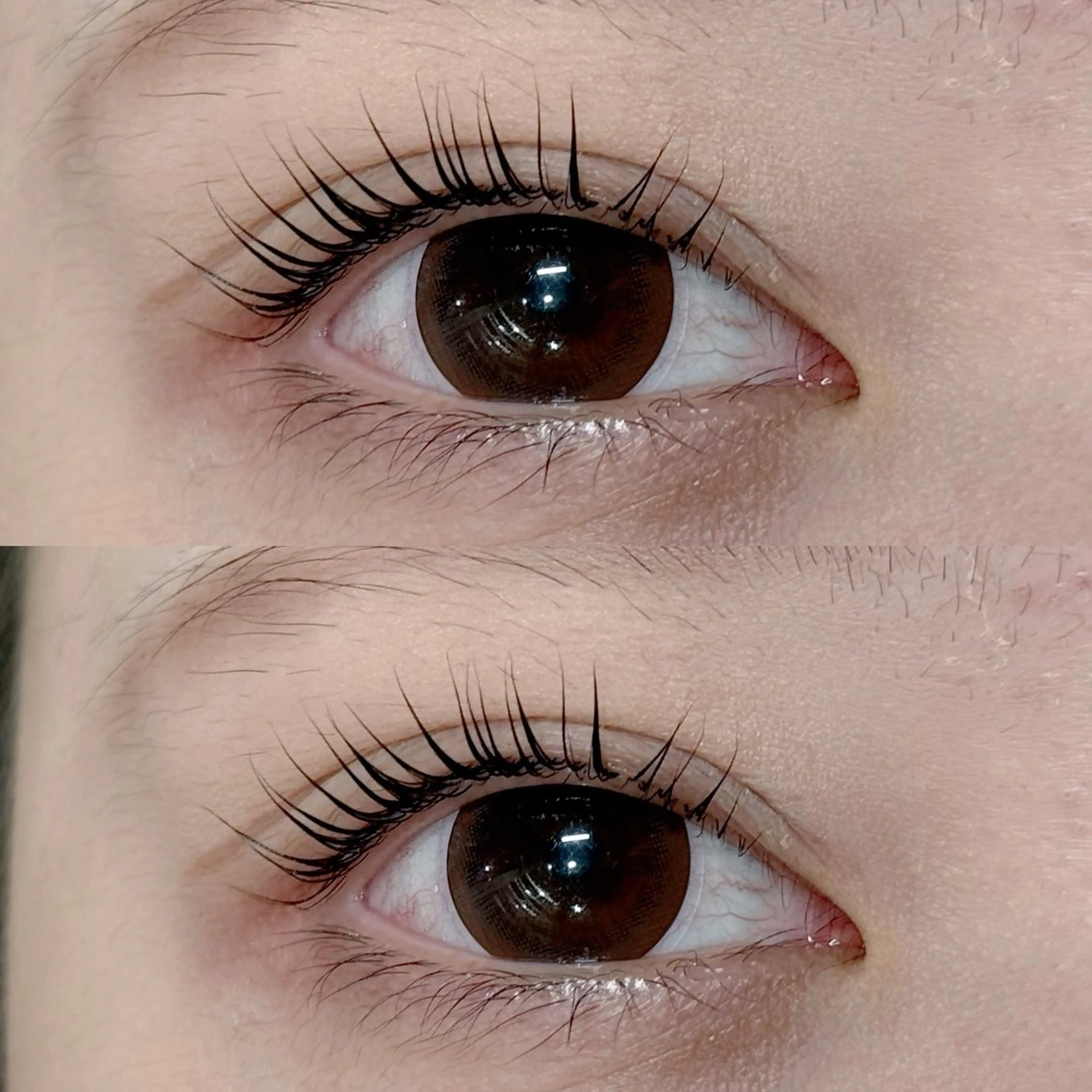 マツエク・マツパ パリジェンヌラッシュリフト 一重×まつ毛パーマ マツパ Pearl 四条大宮 〜AOI〜のマツエク・マツパデザイン