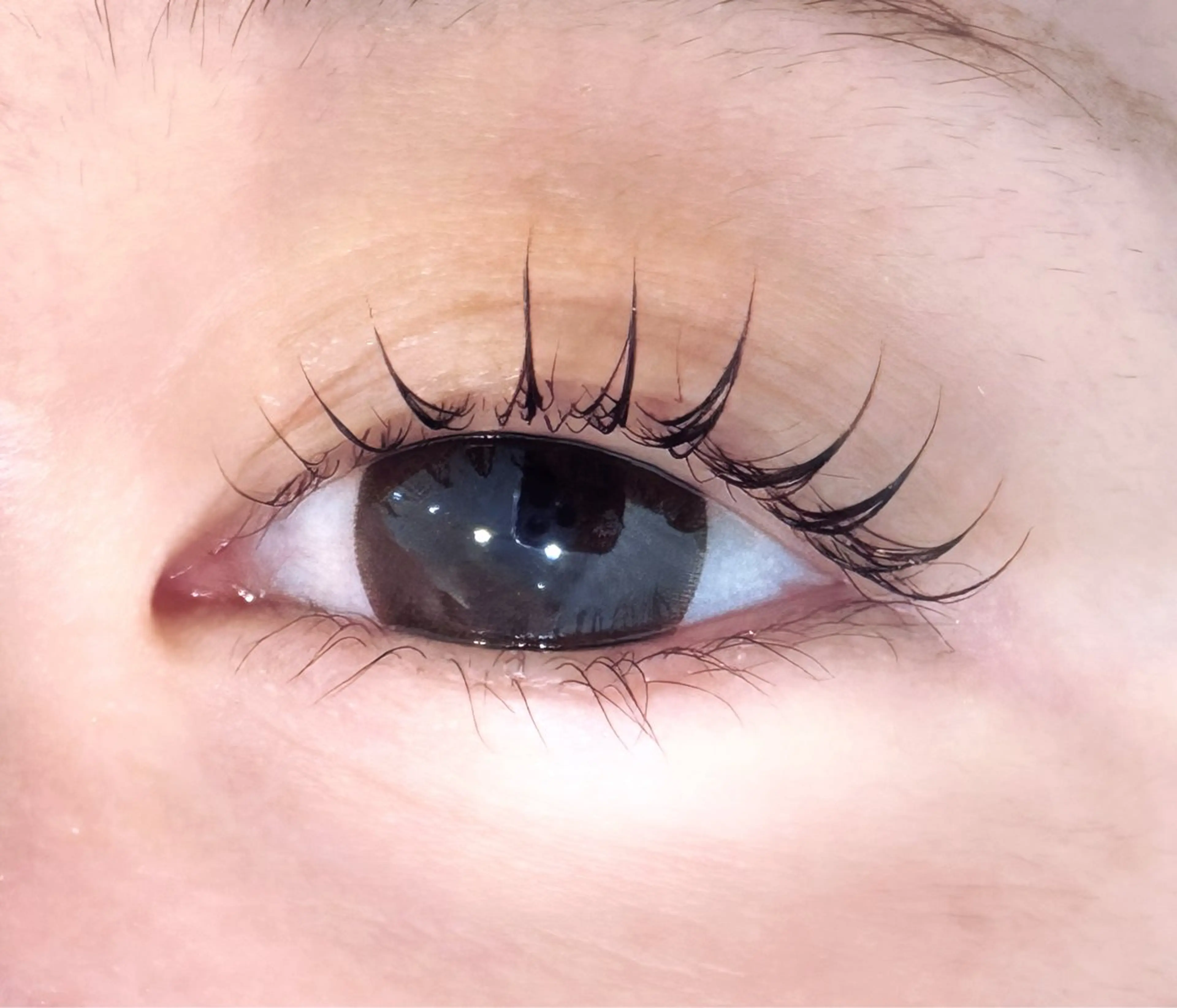 マツエク・マツパ Kellyeye ~sayakaのマツエク・マツパデザイン