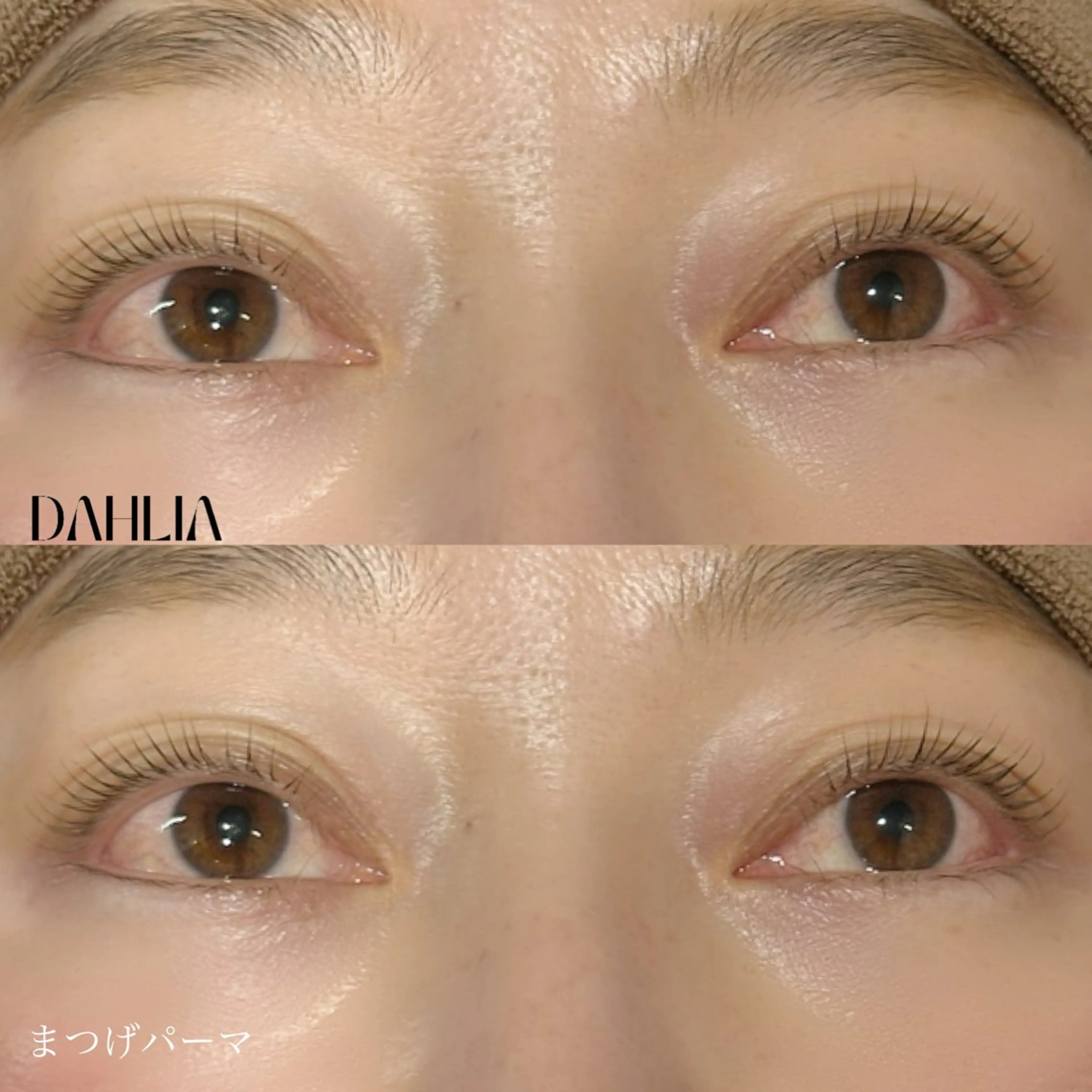 マツエク・マツパ まつげパーマ Dahliaダリア 斉藤のマツエク・マツパデザイン