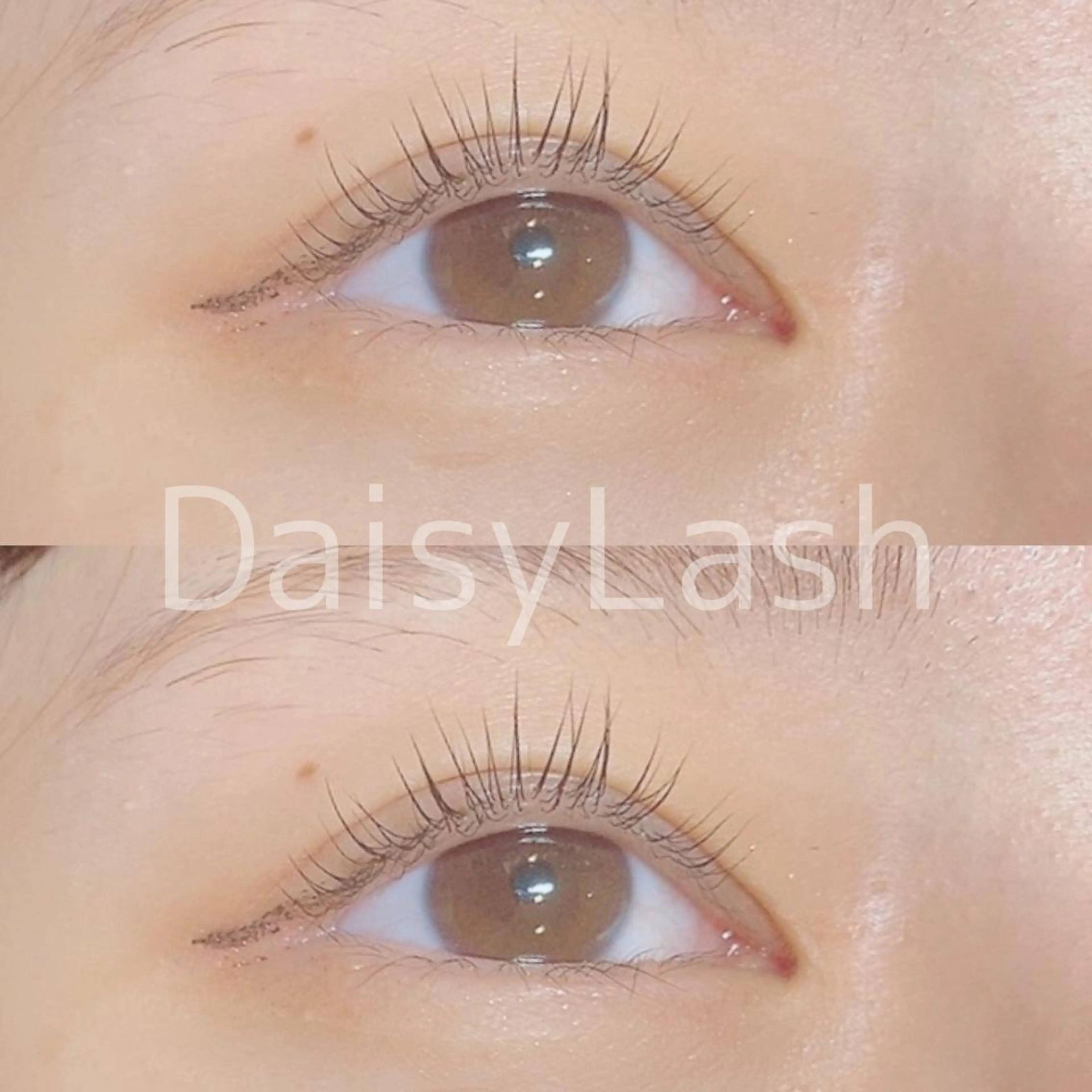 マツエク・マツパ DaisyLash 京橋店のマツエク・マツパデザイン