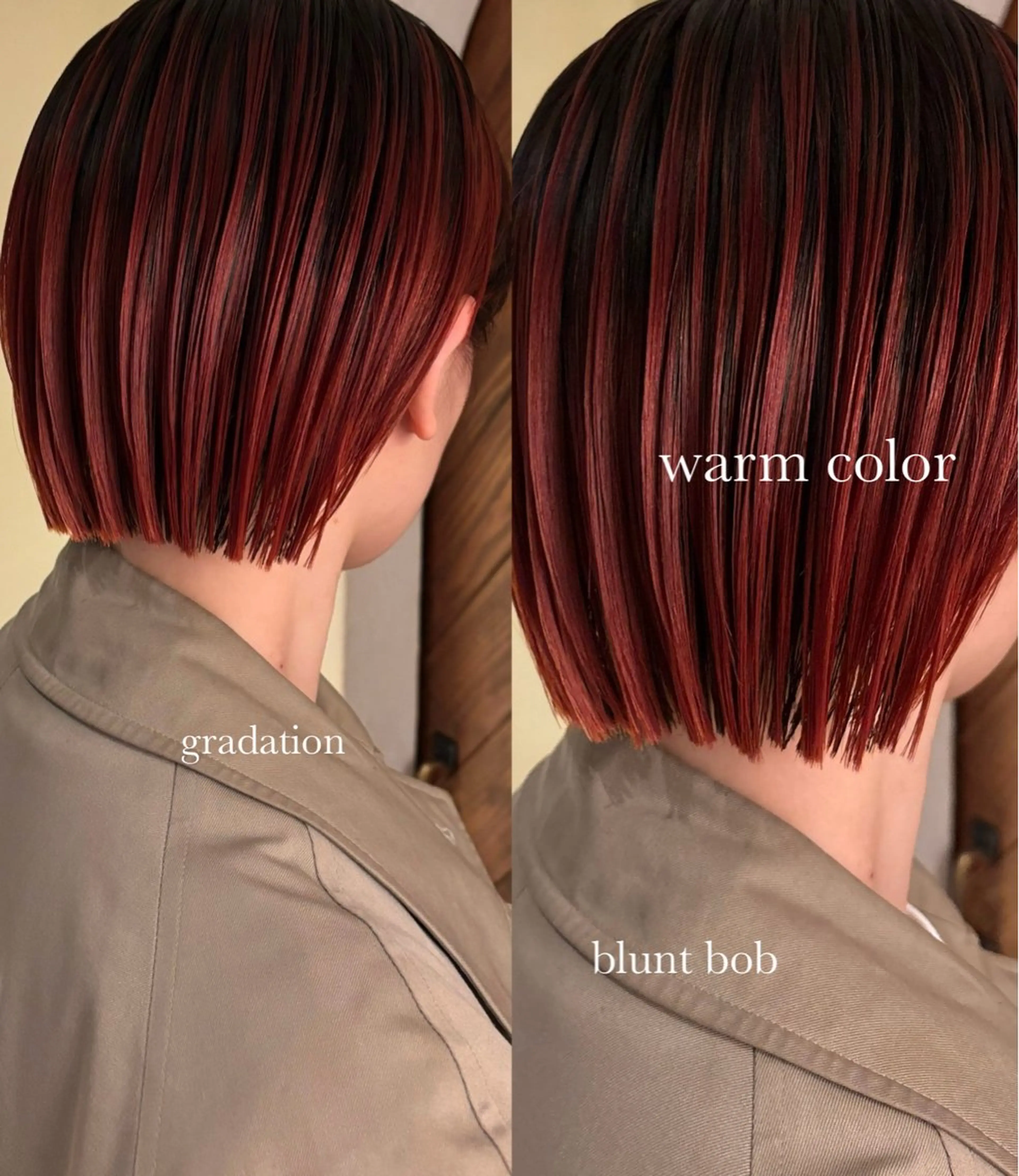 ミディアム カラー カット ヘアカラー ⌇🌹透明感カラー 🌹ᴍᴇɢᴜᴍɪ ⌇のヘアスタイル