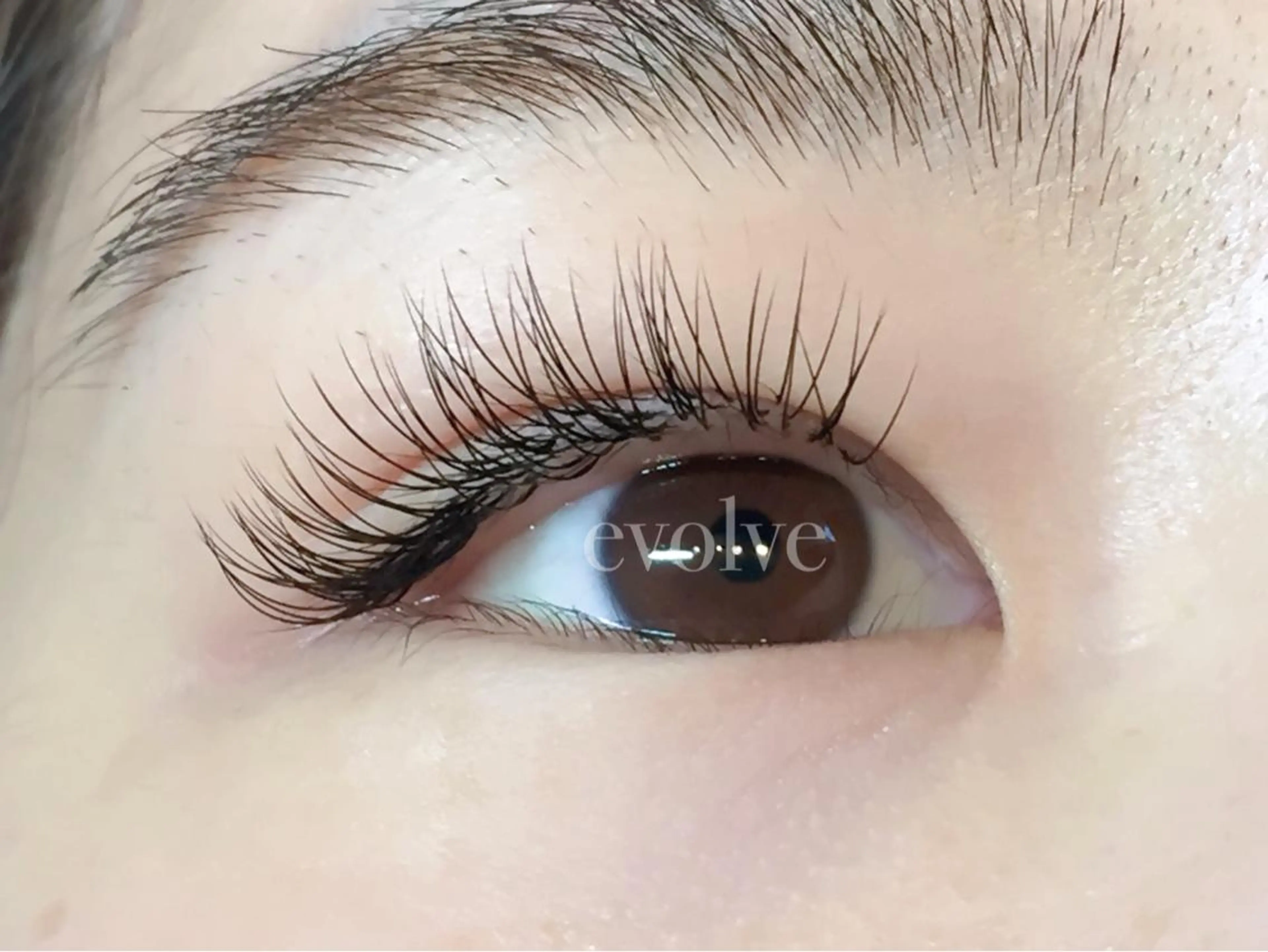 マツエク・マツパ Cカール evolve by TypeAB所属・evolve  by TypeABのマツエク・マツパデザイン