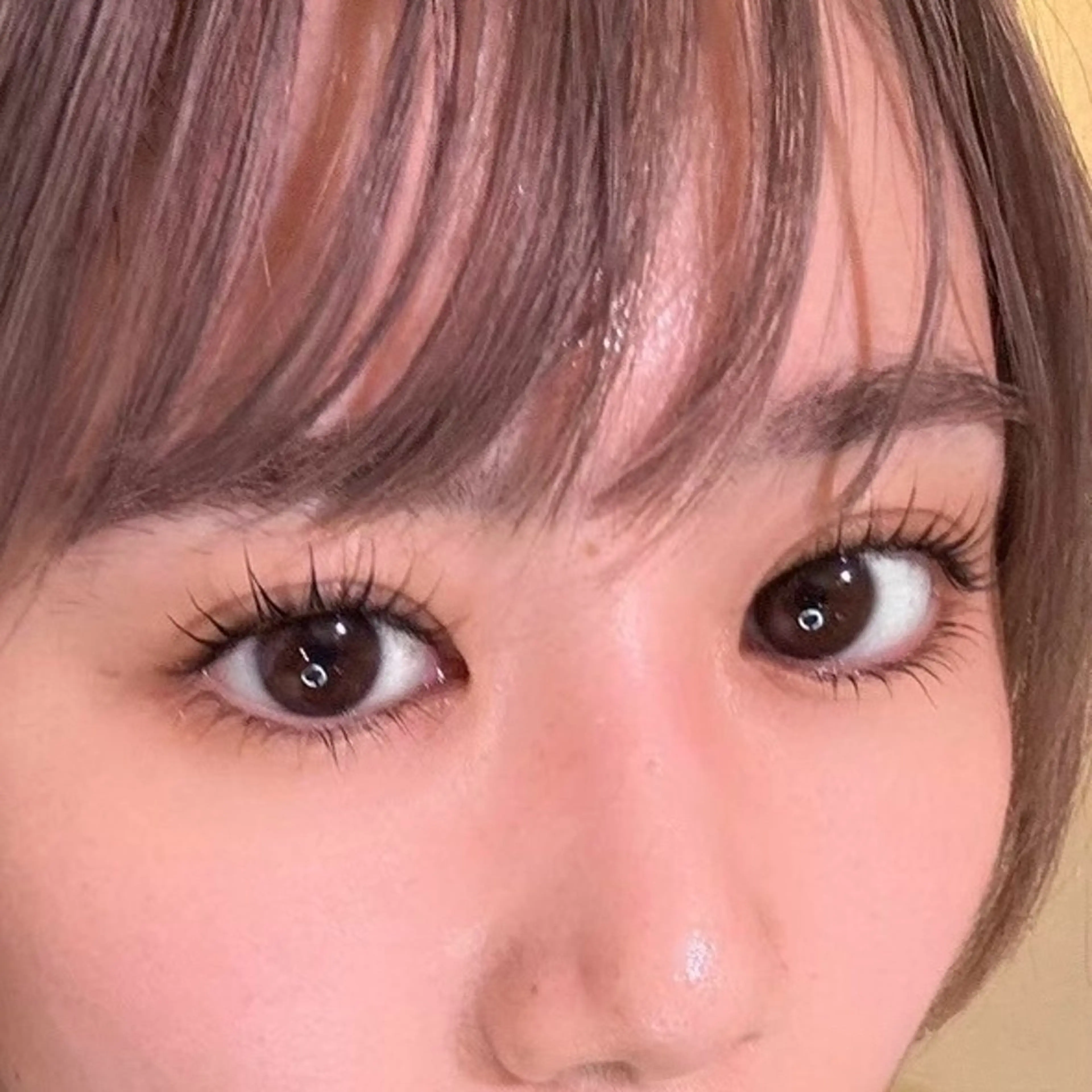 マツエク・マツパ 金沢/久安/まつ毛 眉/minami🦢のその他イメージ