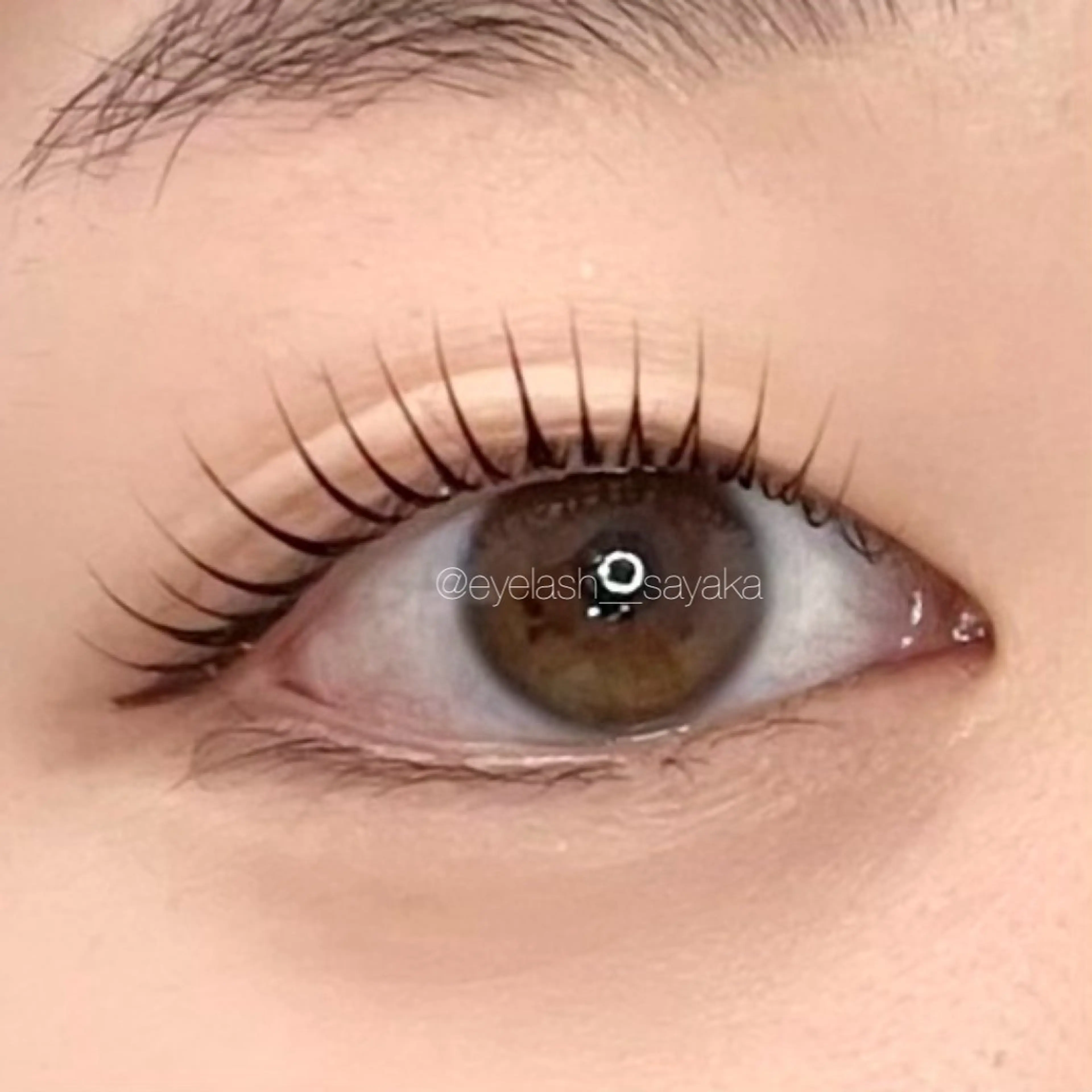 まつ毛パーマ or パリジェンヌラッシュリフト ¥6200の写真