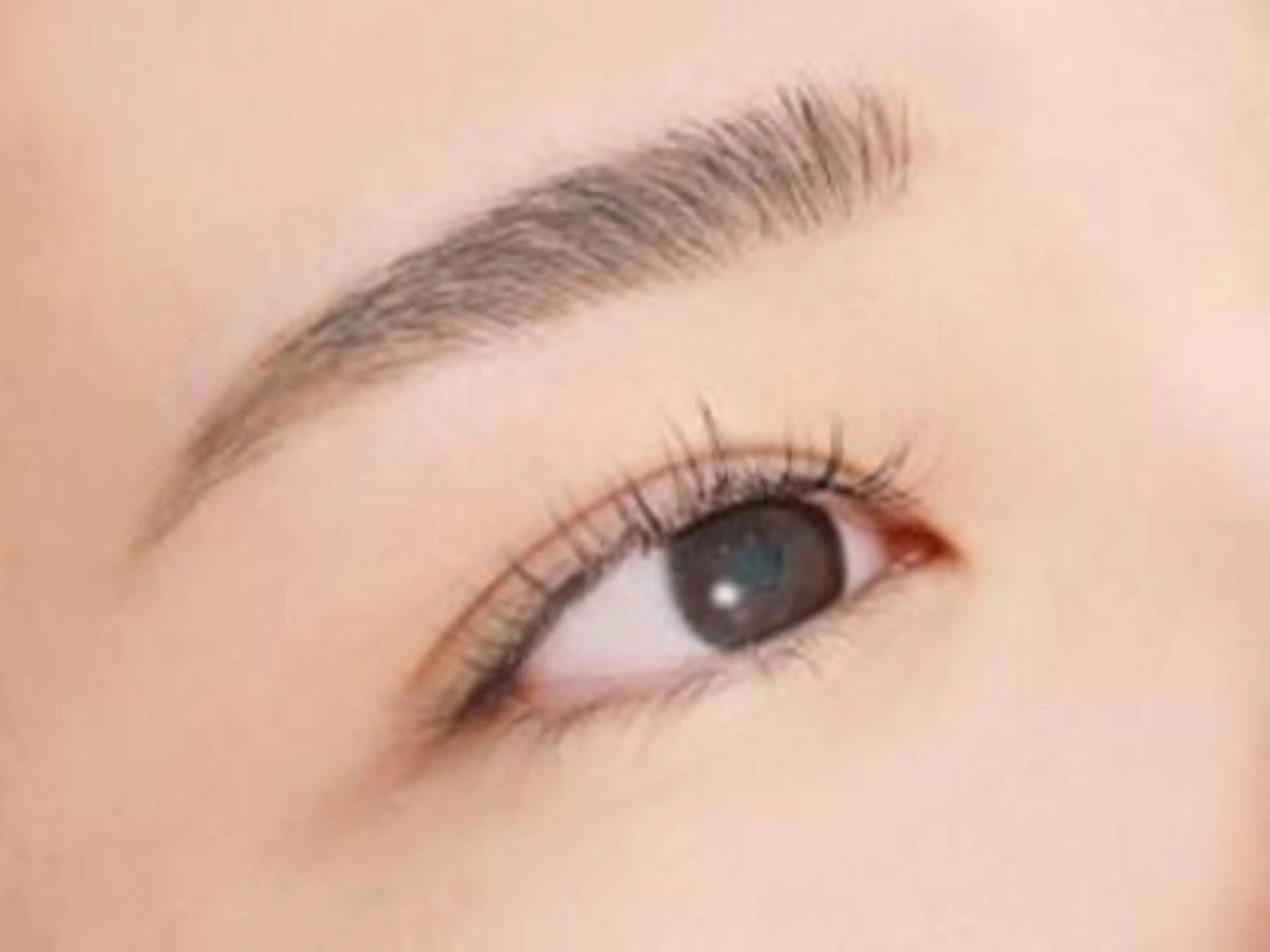 新規限定!!【産毛もスッキリ楽ちんメイク♪】美眉アイブロウwax脱毛の写真