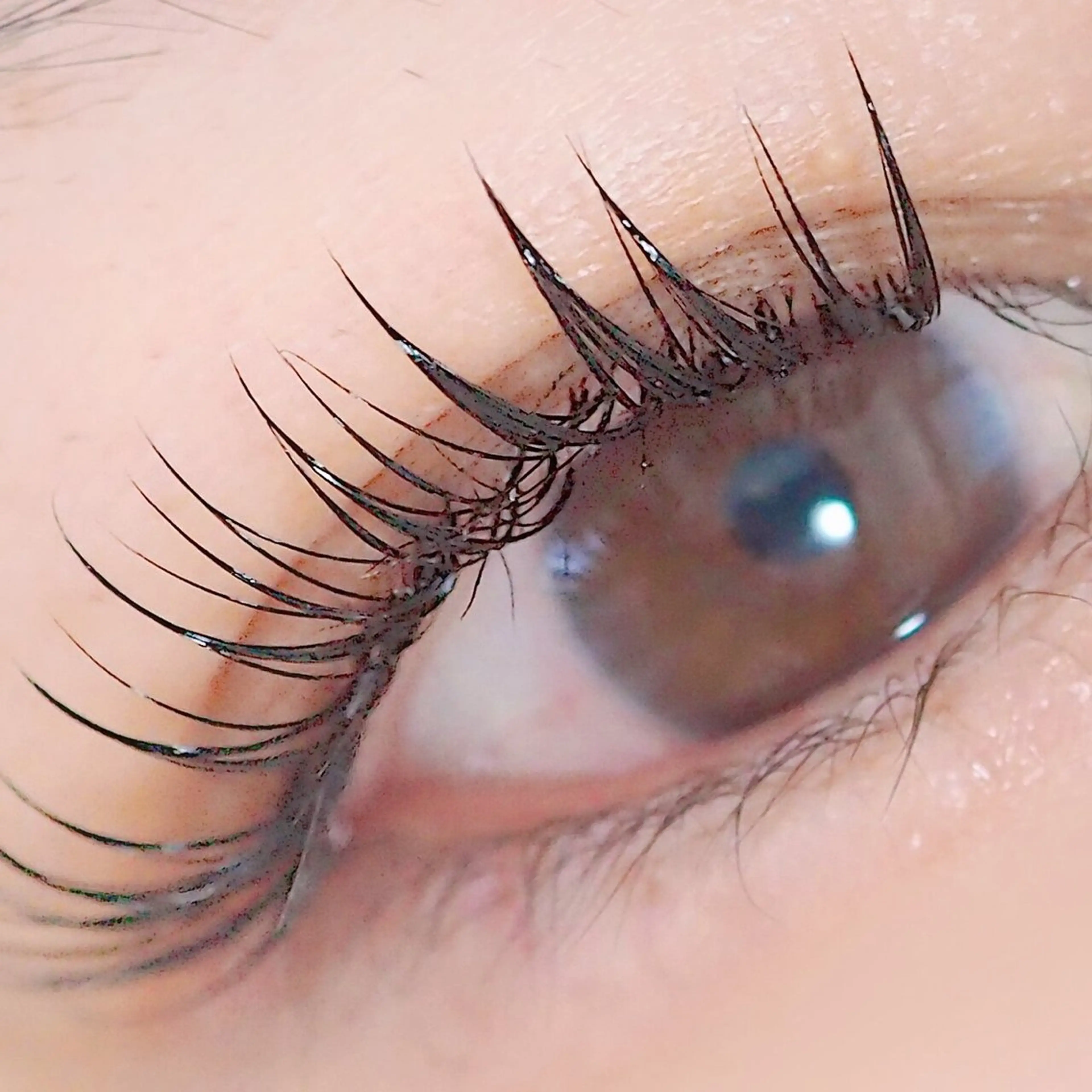 マツエク・マツパ [Hemer.f] RUMIのマツエク・マツパデザイン