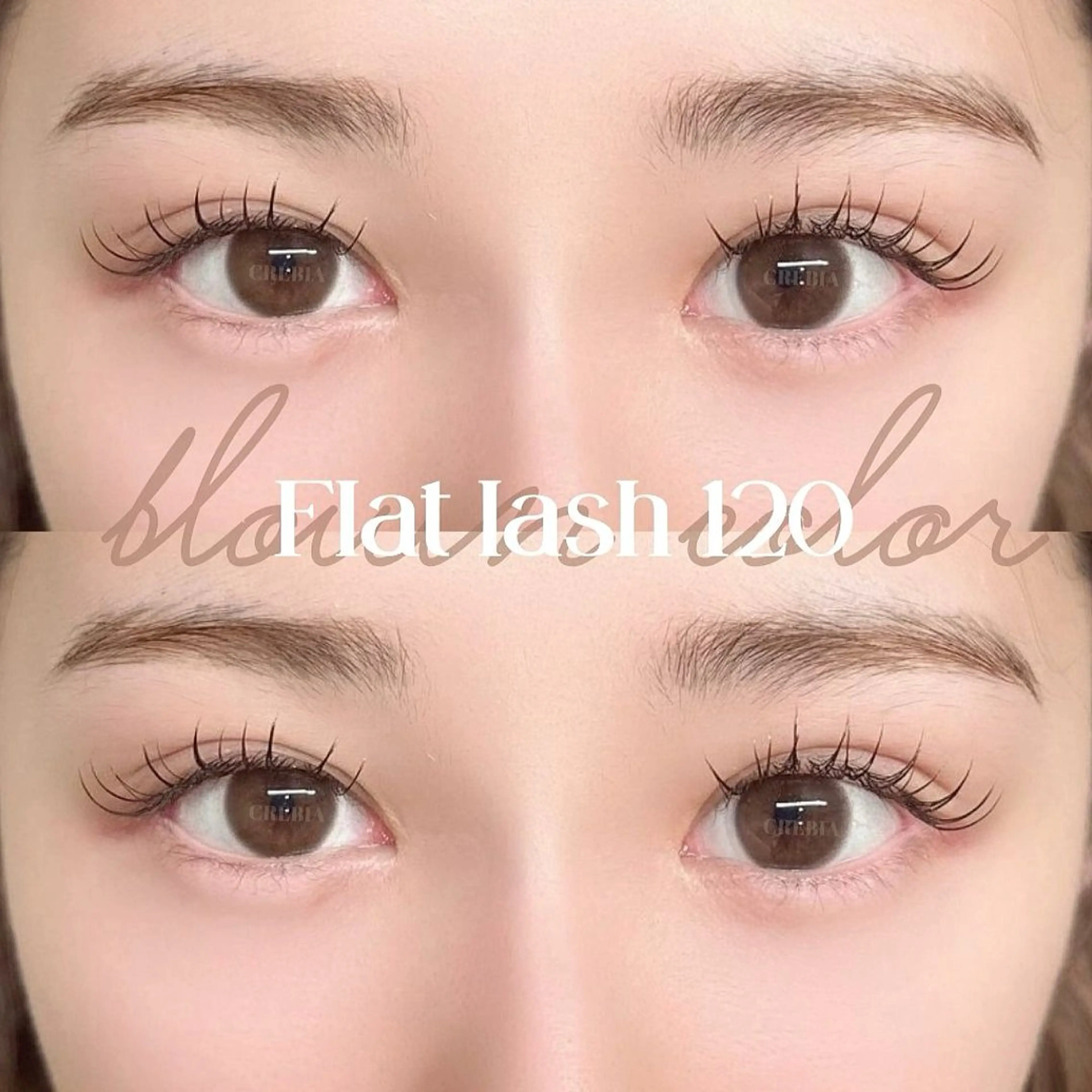 マツエク・マツパ マツエク 🌙mai🌙 パリジェンヌ/眉毛のマツエク・マツパデザイン