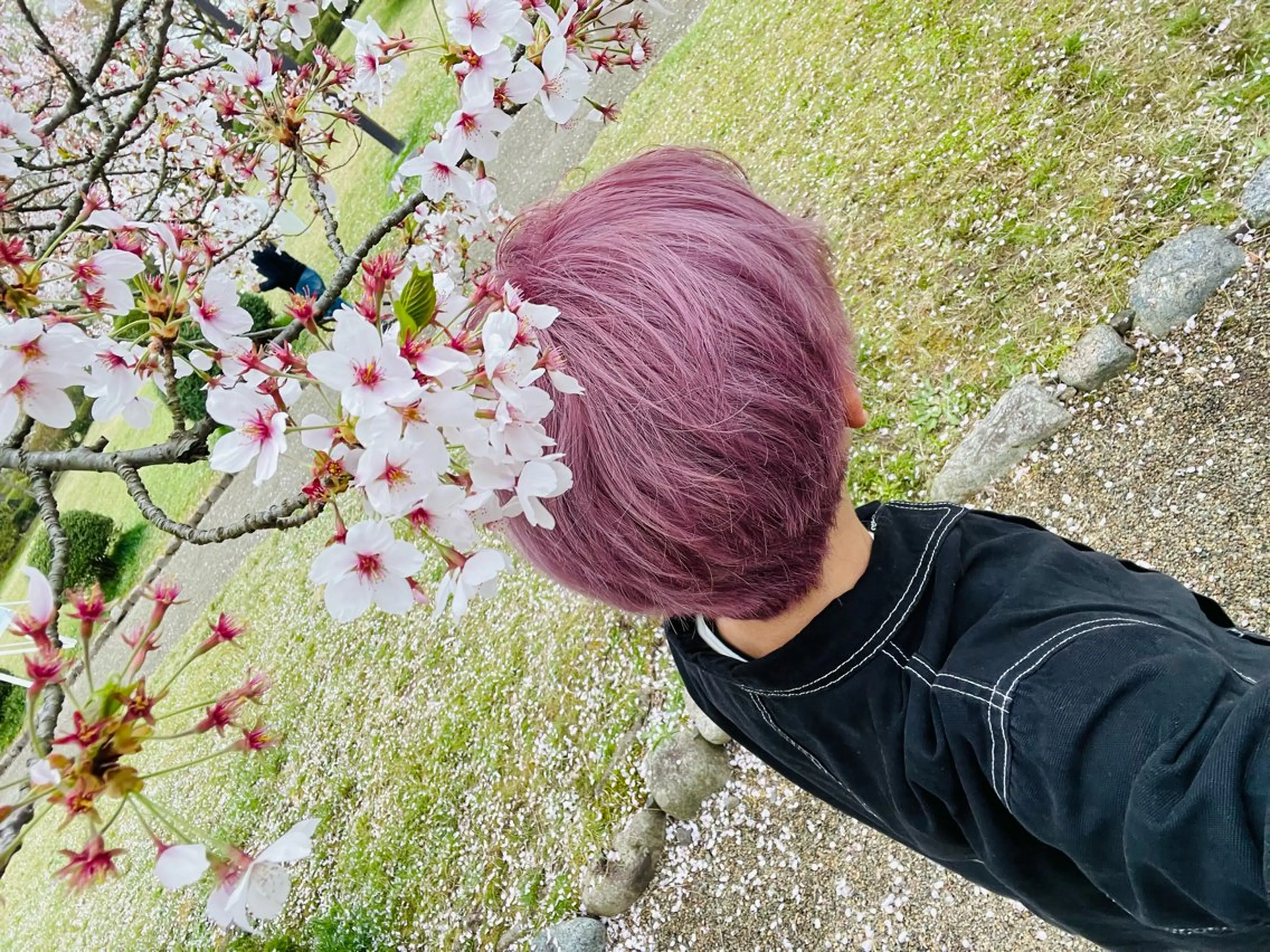 急募❗️ブリーチ+オンカラーの写真
