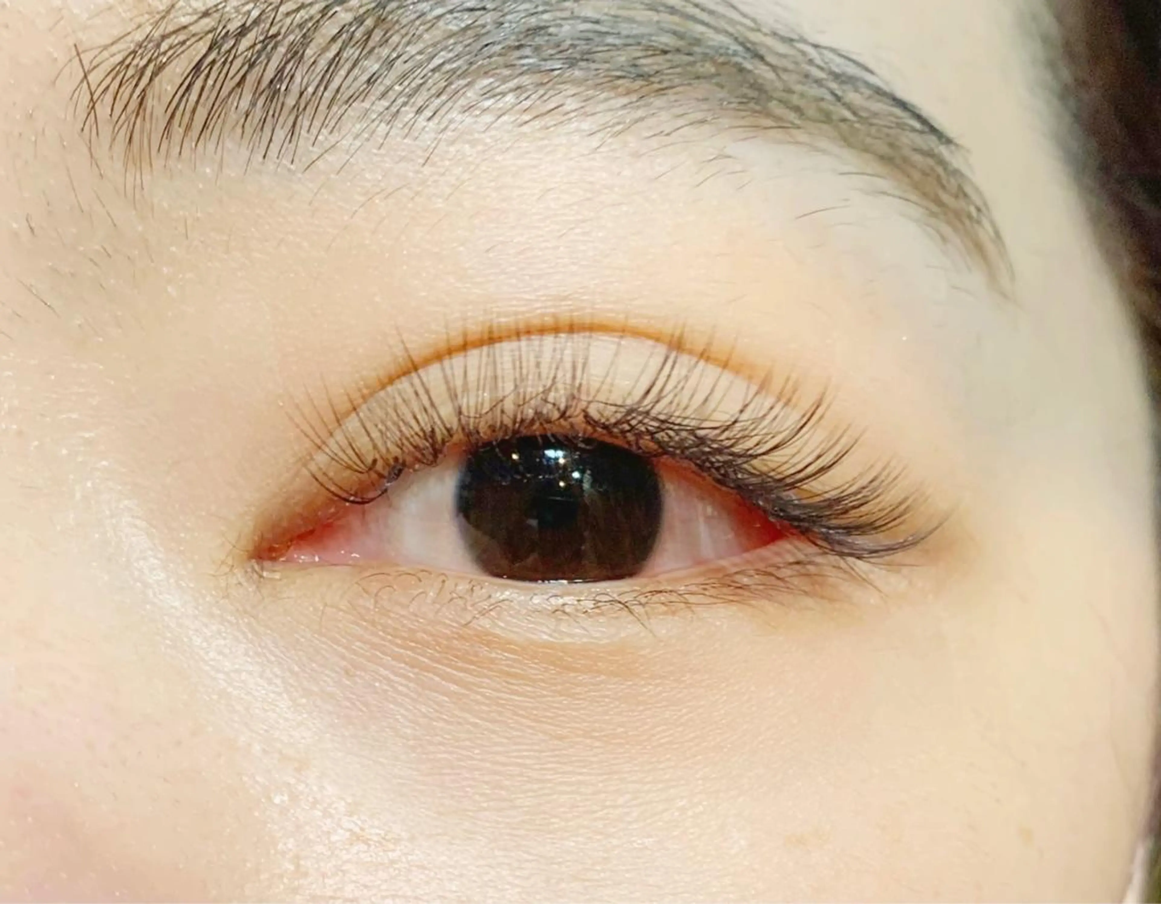 マツエク・マツパ ボリュームラッシュ 𓊆ᶠᵉᵉʸ𓊇 ᶜᴴᴵᴴᴬᴿᵁのマツエク・マツパデザイン