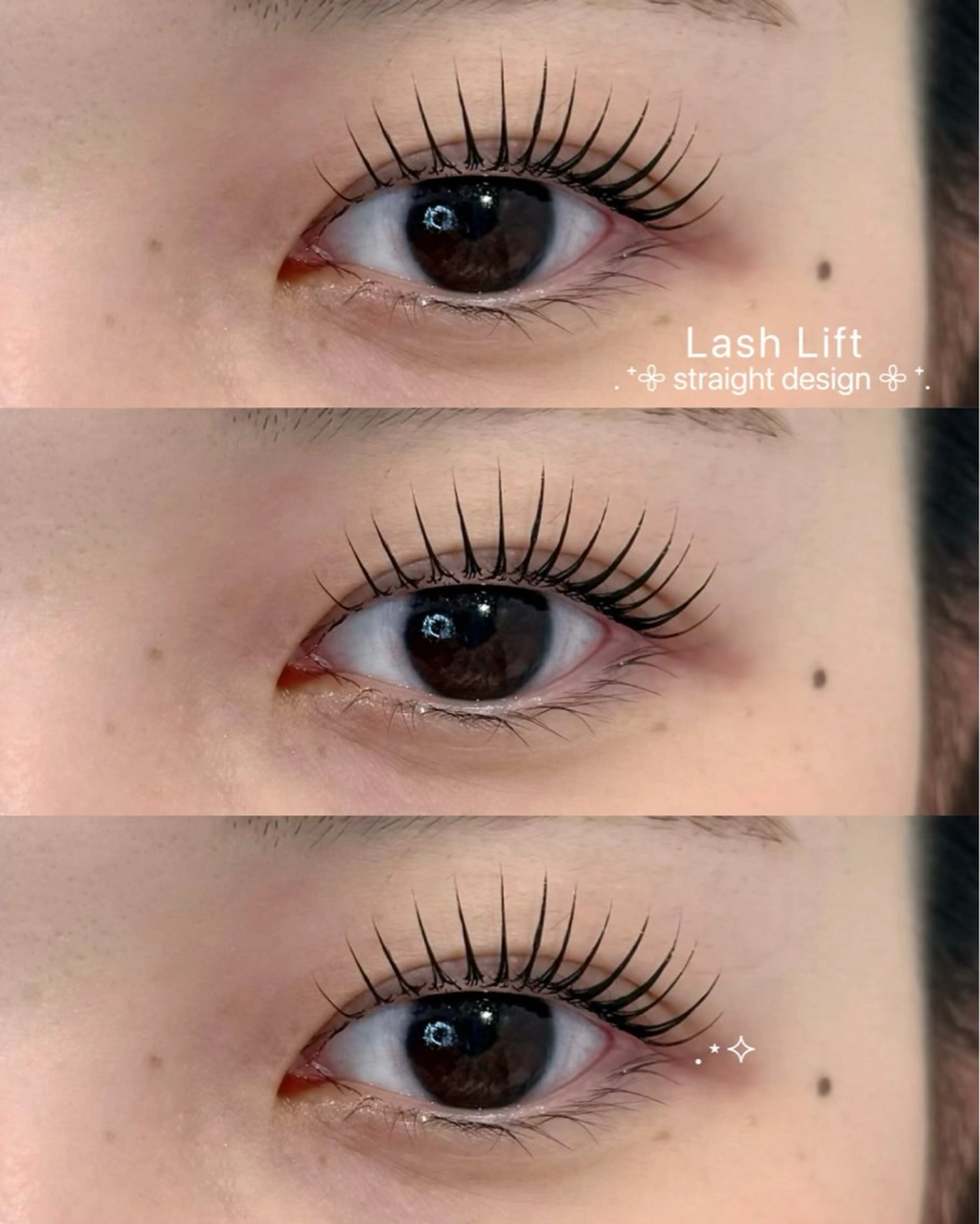 🦋 大人気minimo限定価格 🦋🌱まつ毛パーマ +アイシャンプー付🌱🫧の写真