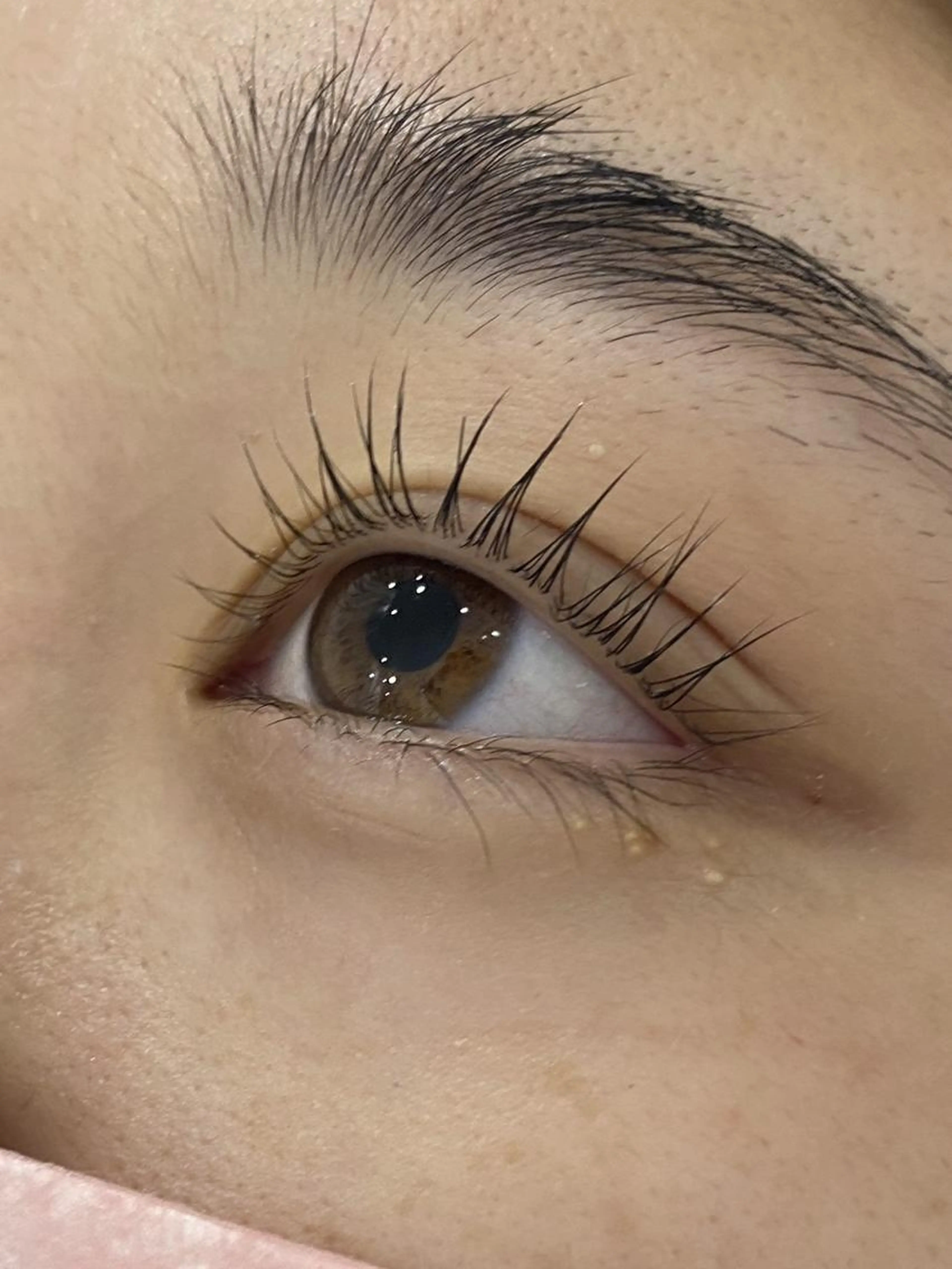 【ミニモ特別価格🎀】選べる🙆‍♀️【束感】パリジェンヌorまつ毛パーマ🩷🩵の写真