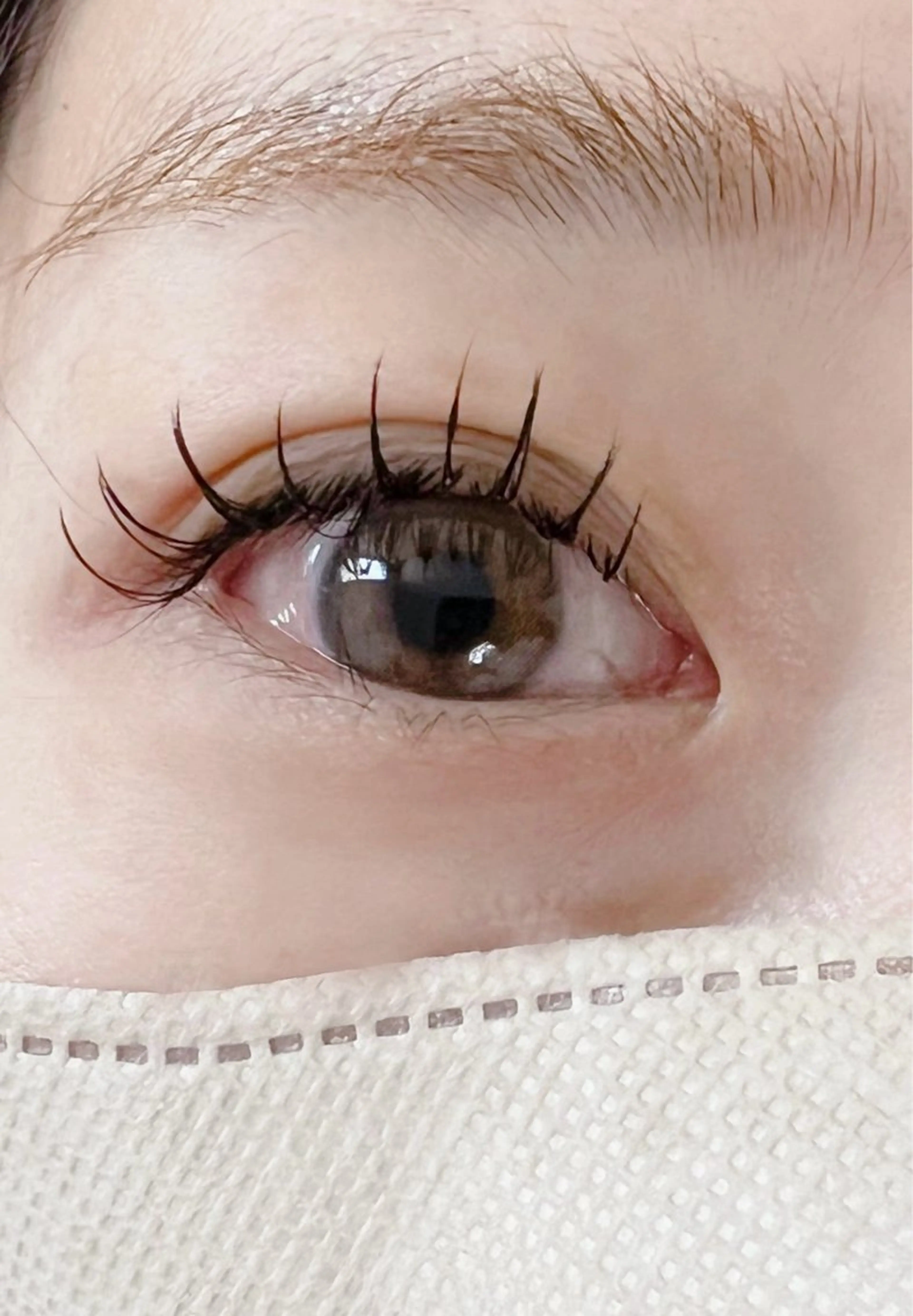 束感仕上げフラットラッシュ120本の写真