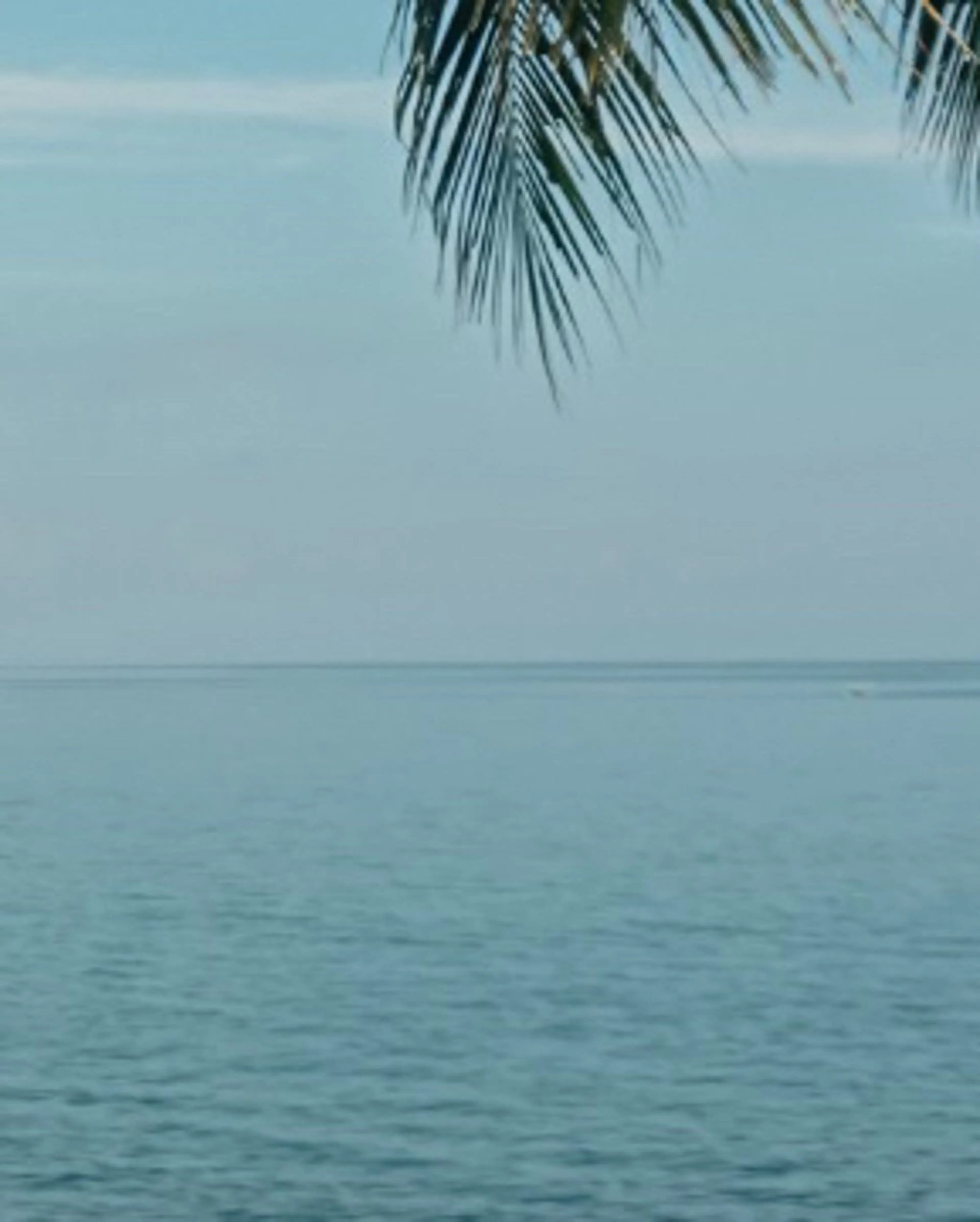 ブラジリアン☆WAX 🎖🌚YUKI🌚のエステ・リラクイメージ