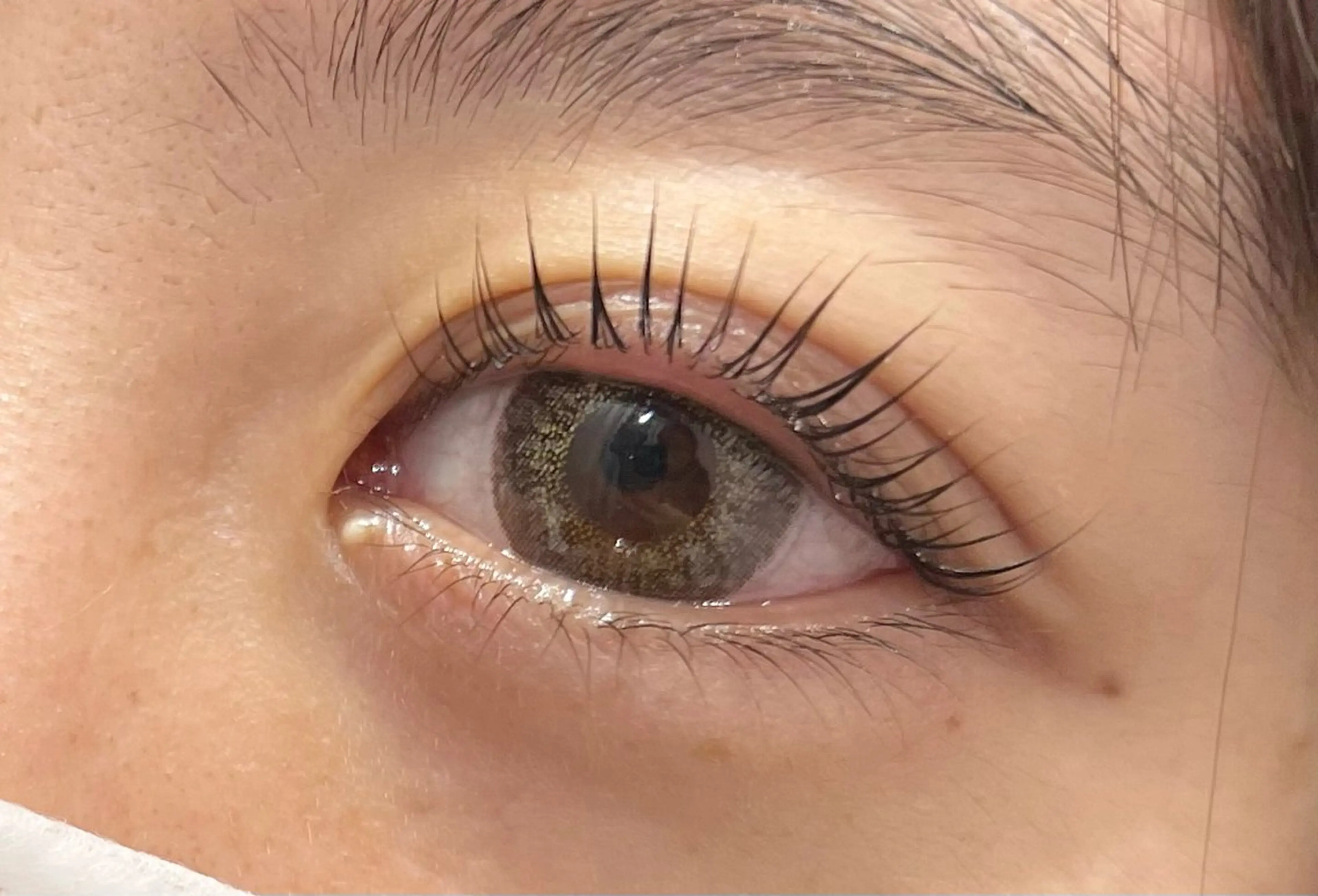 マツエク・マツパ マツパ YUUGA /横浜/個室‎🤍のマツエク・マツパデザイン