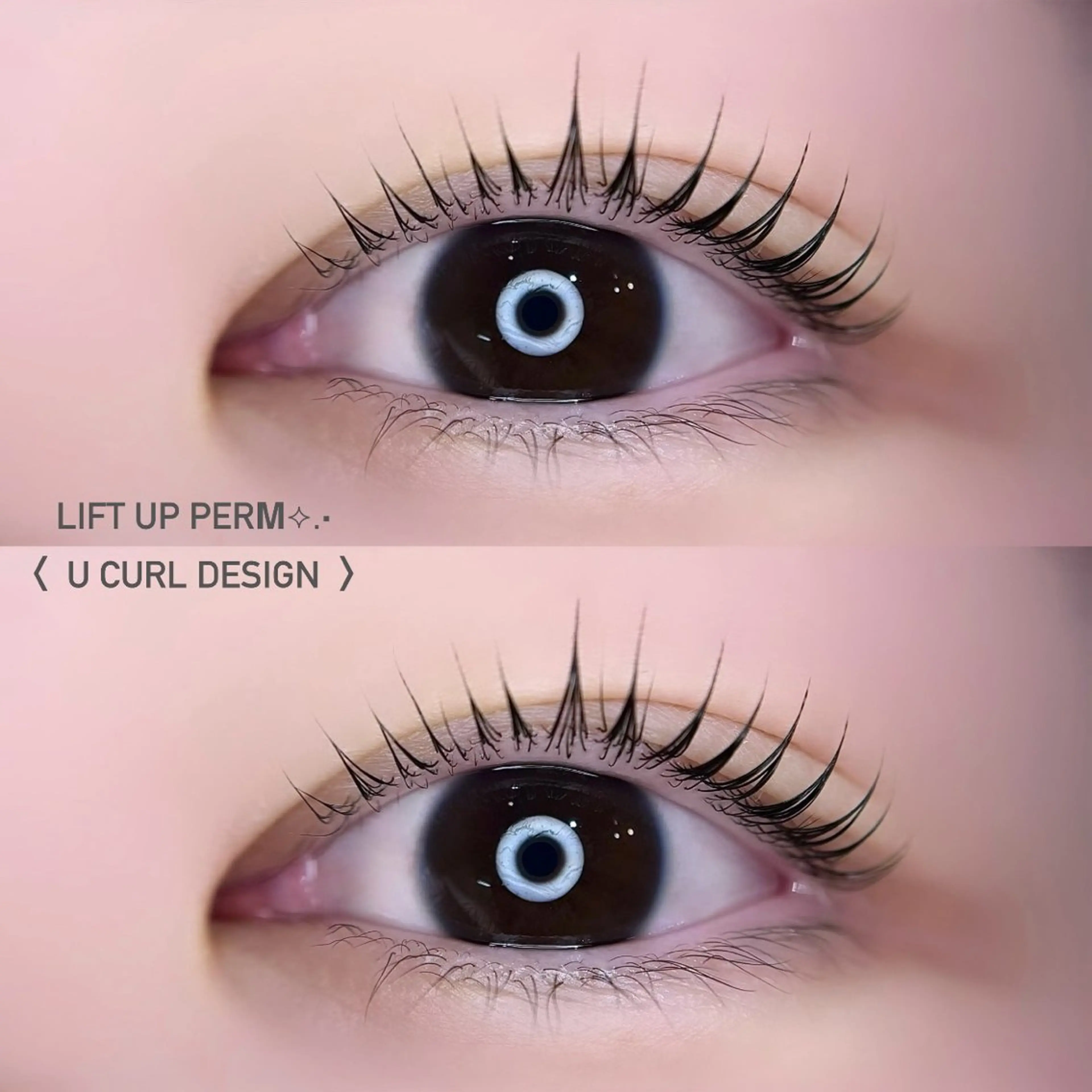 扱いやすさNo.1☝🏻Ｕカールデザインorペッタロッドの写真