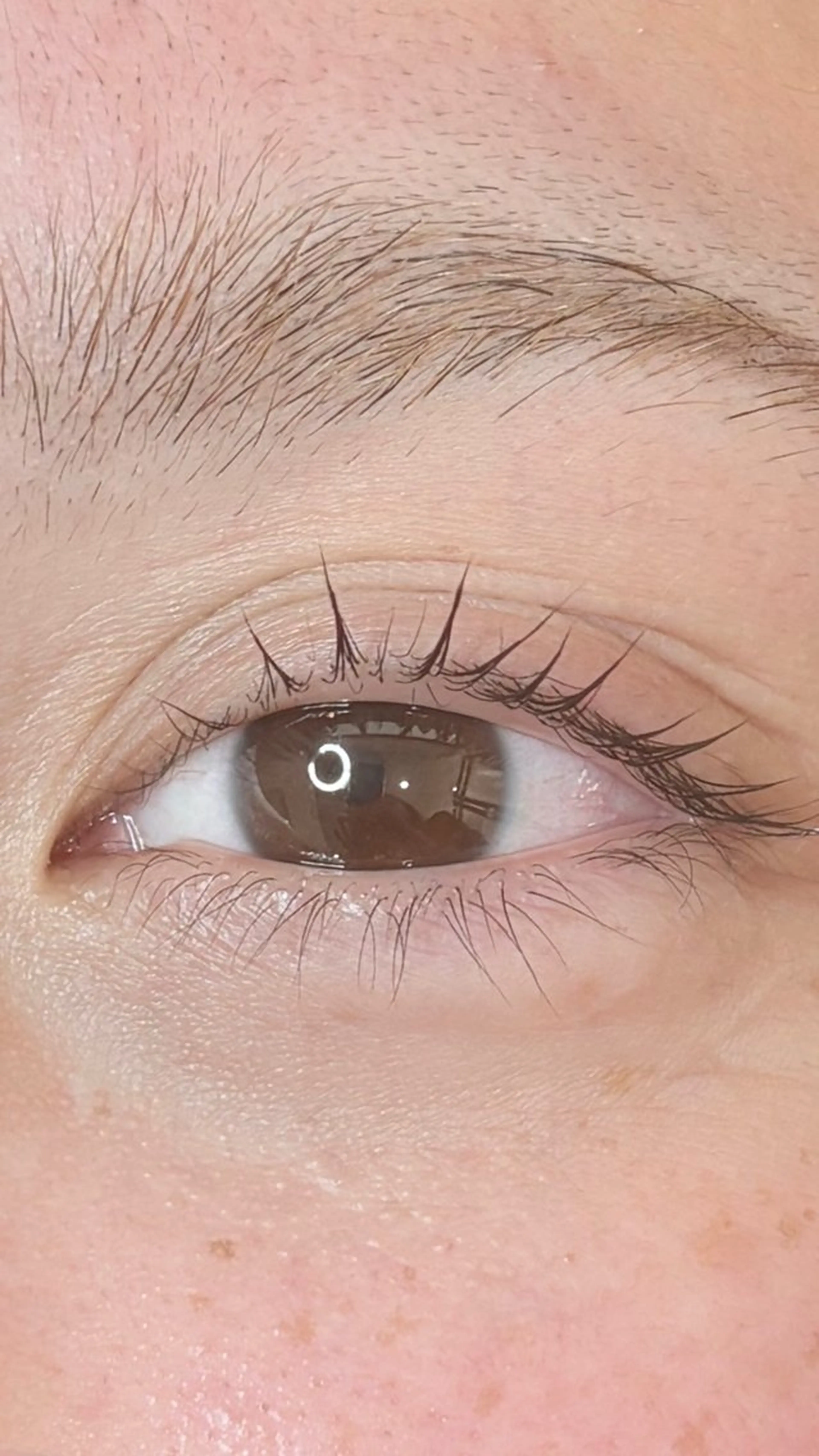 マツエク・マツパ マツパ Belle fee 才記🌻のマツエク・マツパデザイン