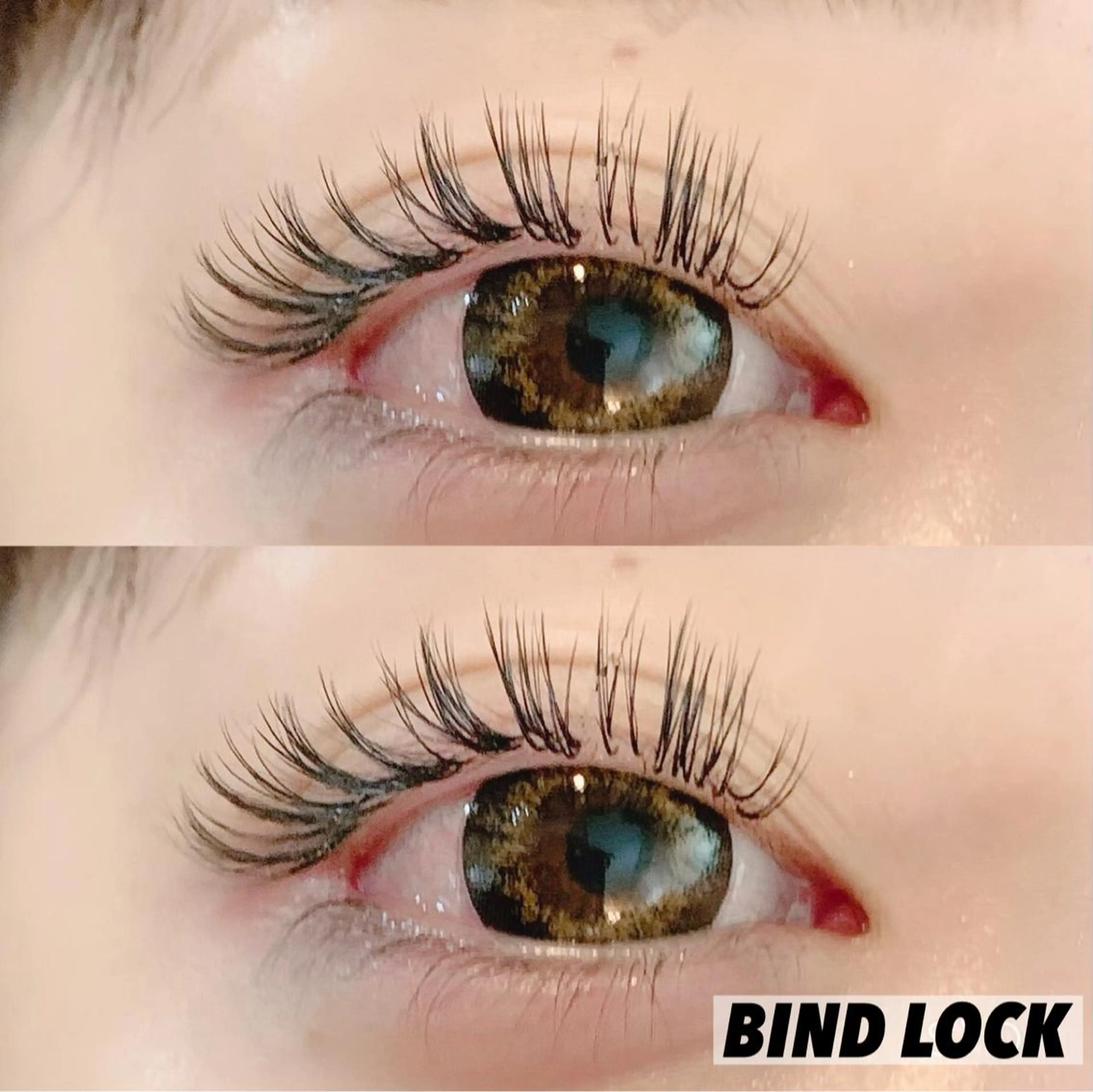 バインドロック80束《オフの有無をお知らせください》の写真