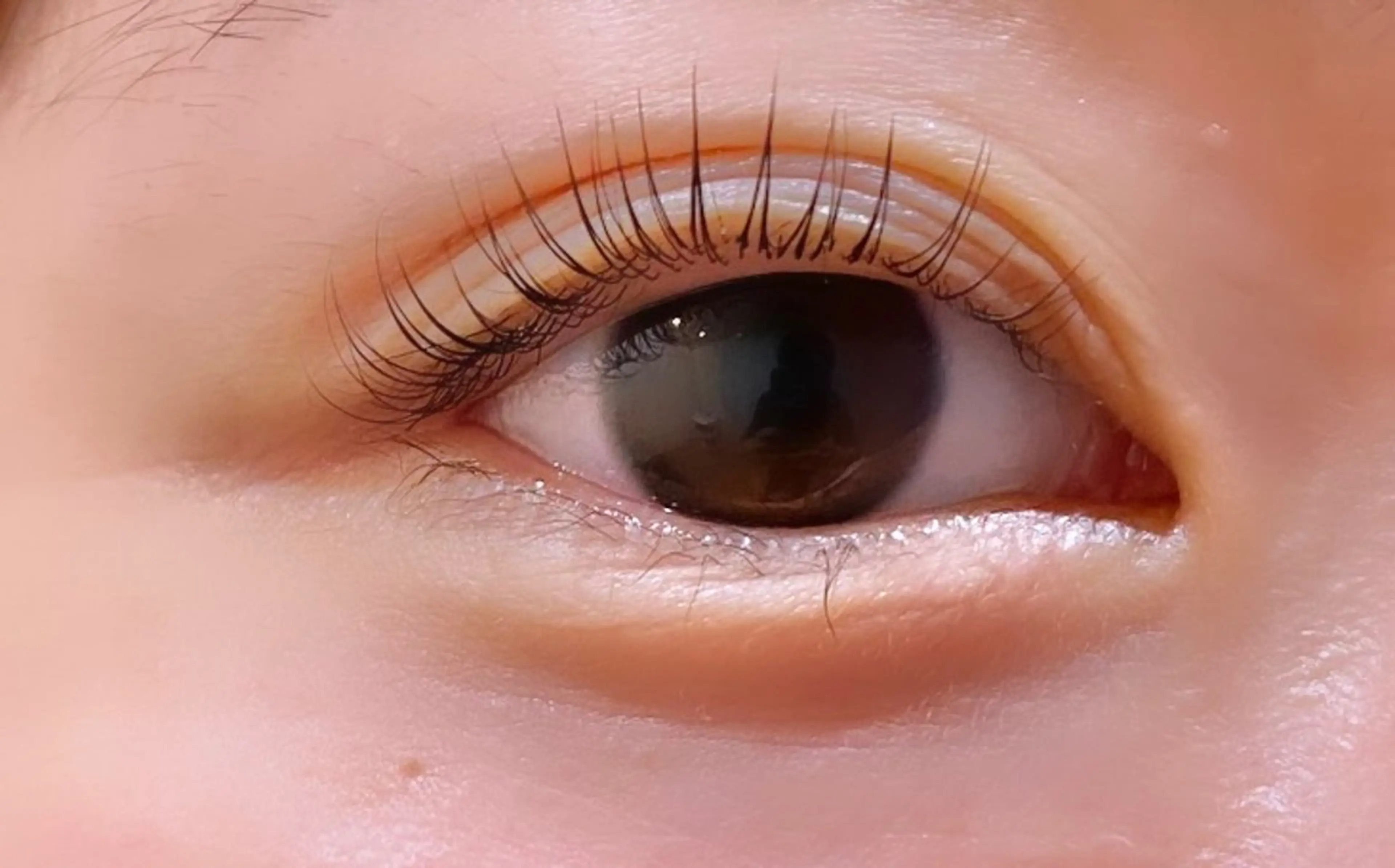 マツエク・マツパ Chipie オカモトの眉毛・アイブロウイメージ