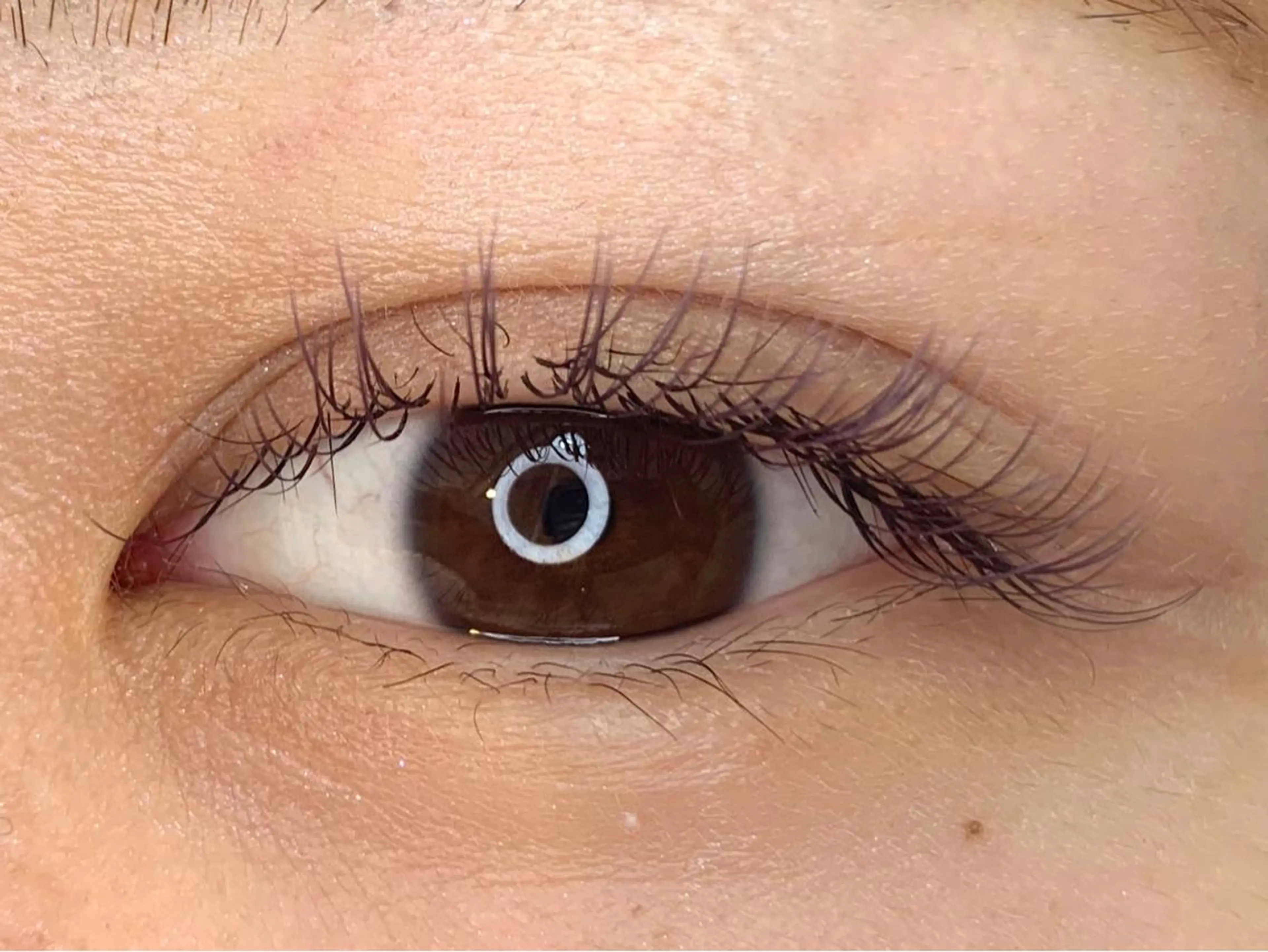 マツエク・マツパ マツエク mist AYA 🏝️eyelashのマツエク・マツパデザイン