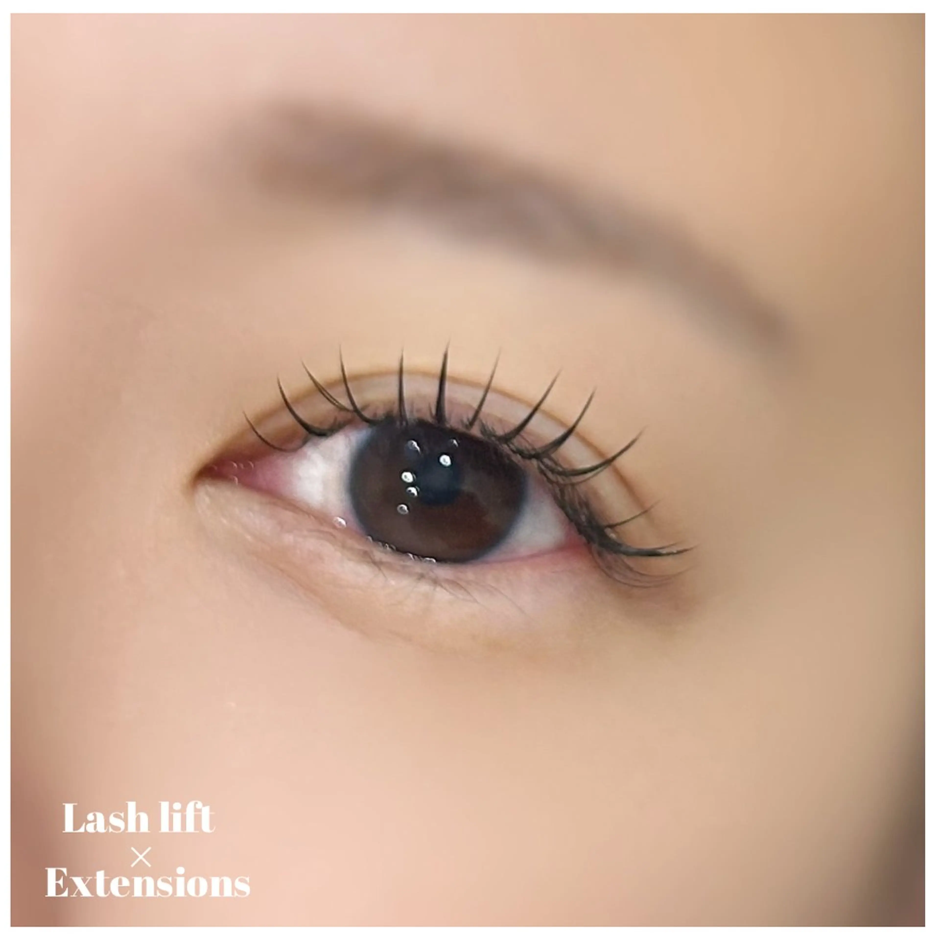 リフエク(エクステ80本まで)アイシャンプー付きの写真