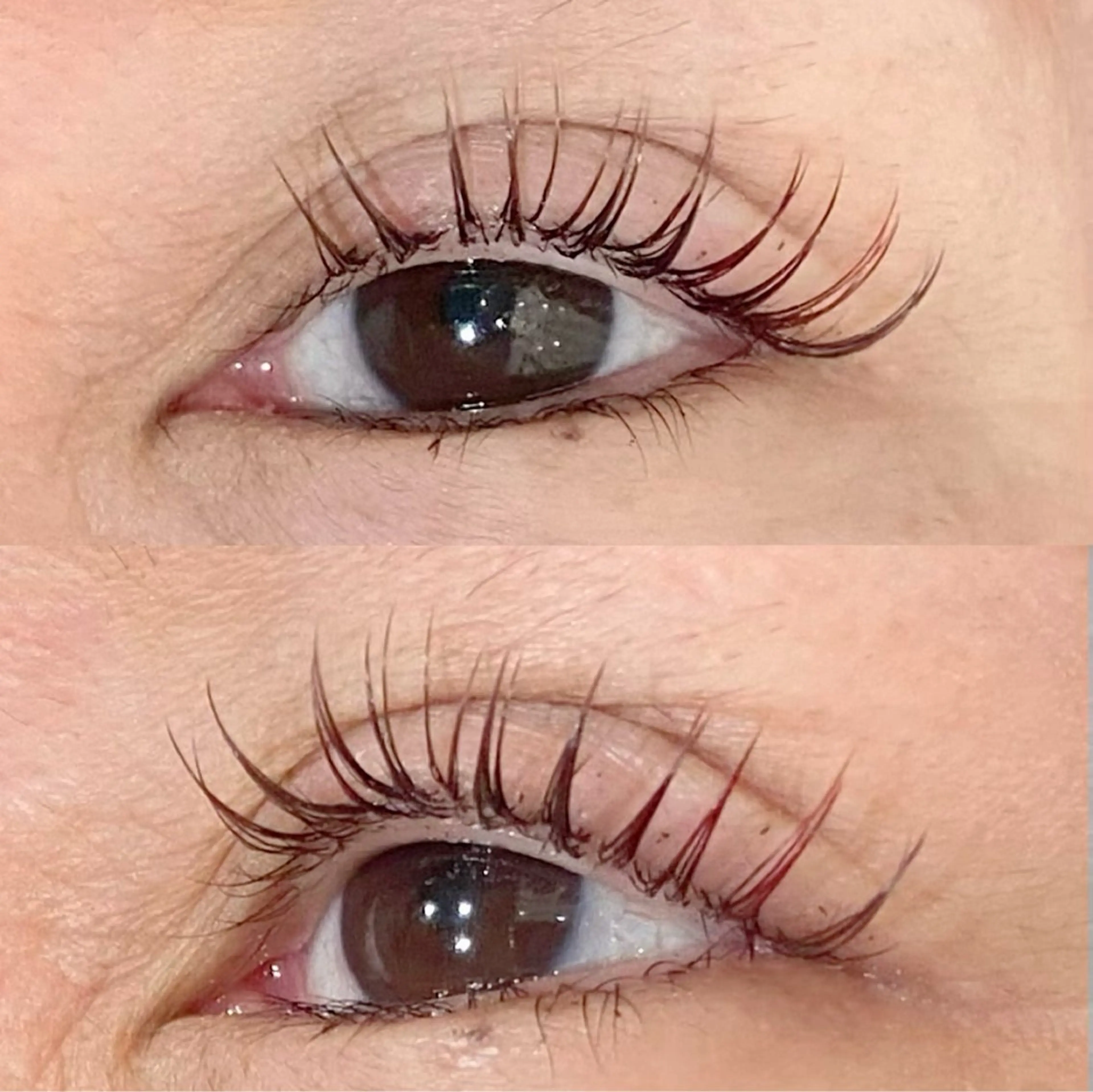 マツエク・マツパ KIMOTO 🐈‍⬛🤍のマツエク・マツパデザイン