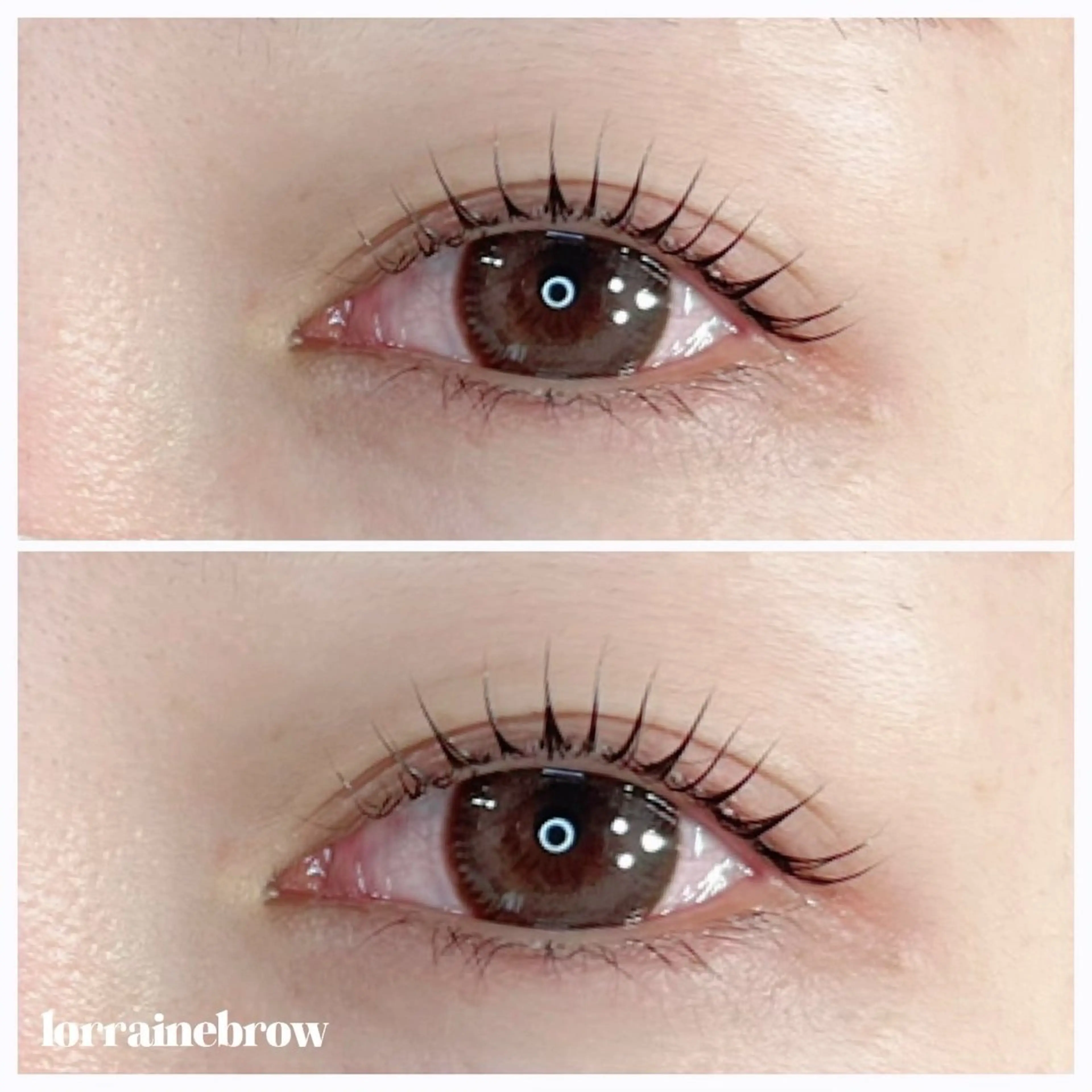 【4月限定❕】⭐️似合わせまつげパーマ⭐️の写真