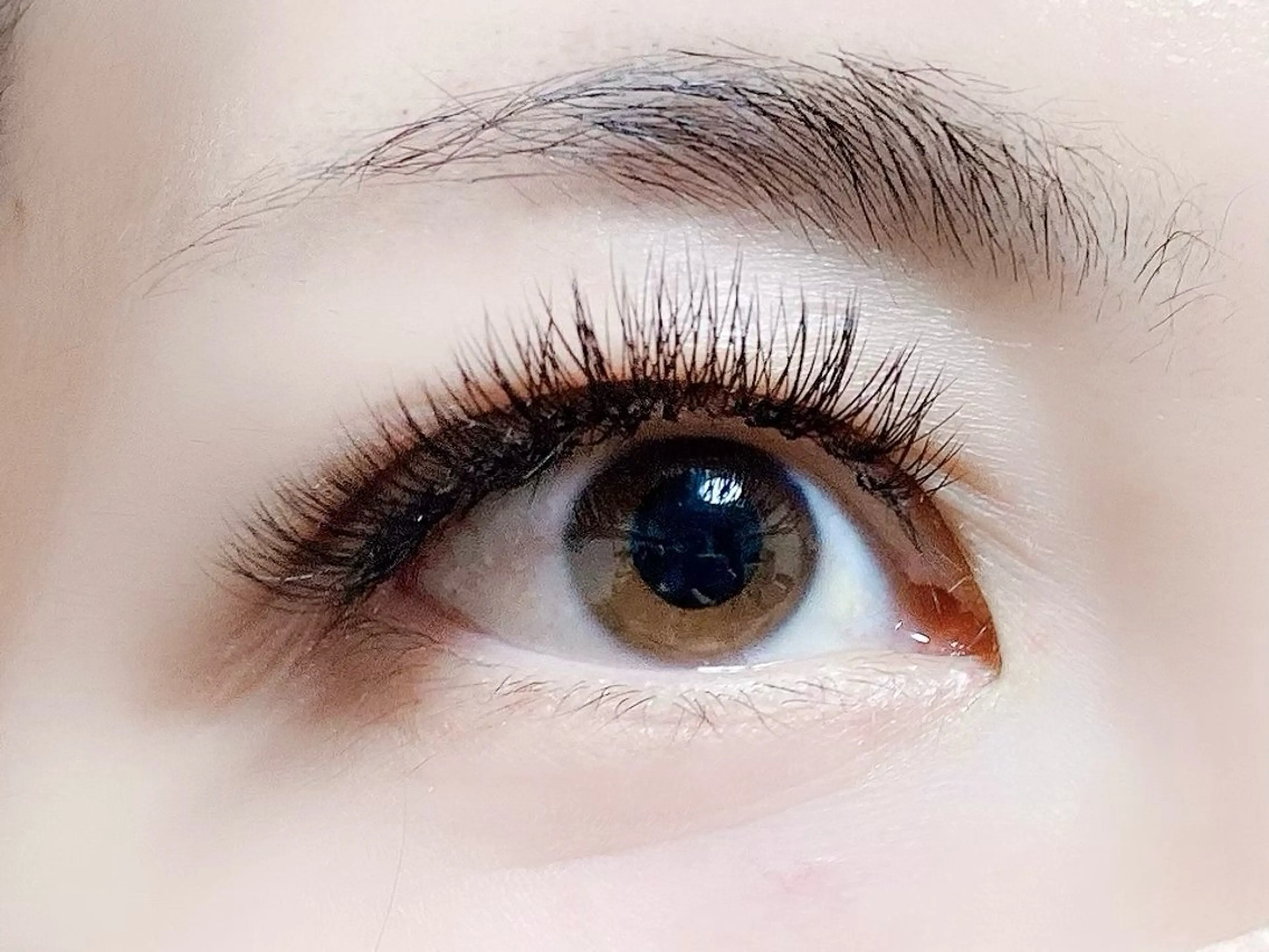 マツエク・マツパ フラットラッシュ Hase　本八幡 🧸マツエク専門🧸のマツエク・マツパデザイン