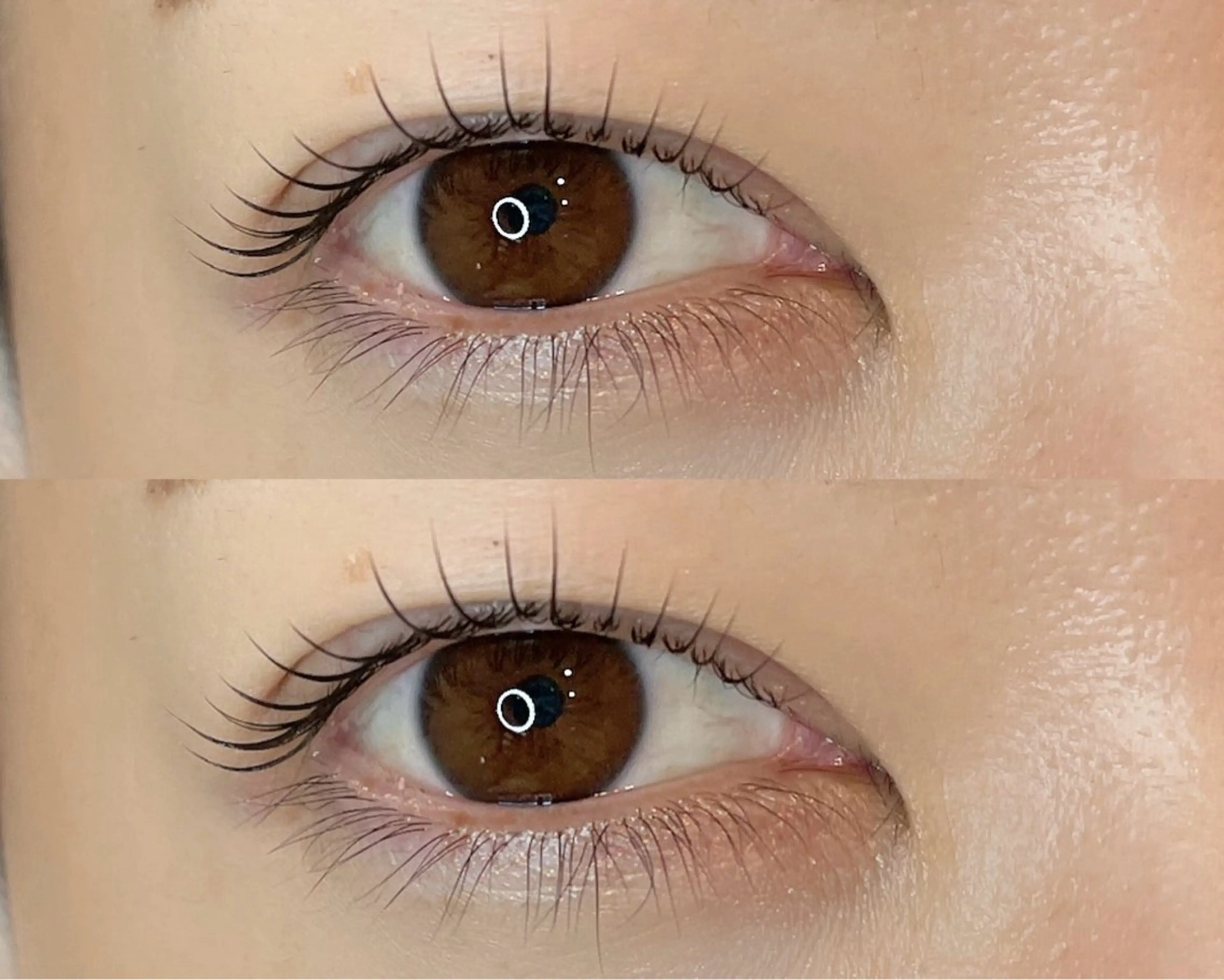 マツエク・マツパ マツパ Lupines ౨ৎ˖⊹ AISAの眉毛・アイブロウイメージ