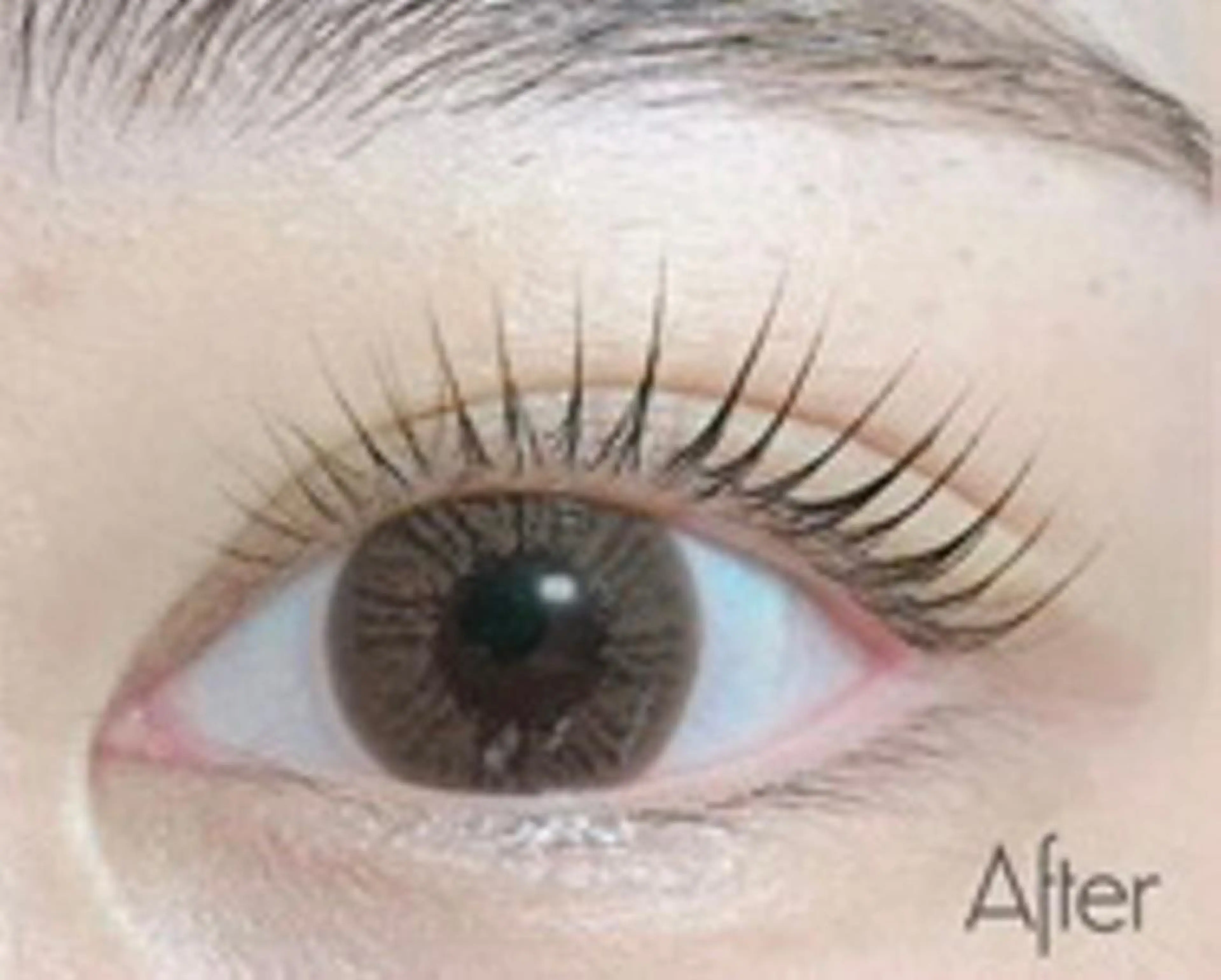 マツエク・マツパ ナチュラル パリジェンヌラッシュリフト Eyelash feliciteのマツエク・マツパデザイン