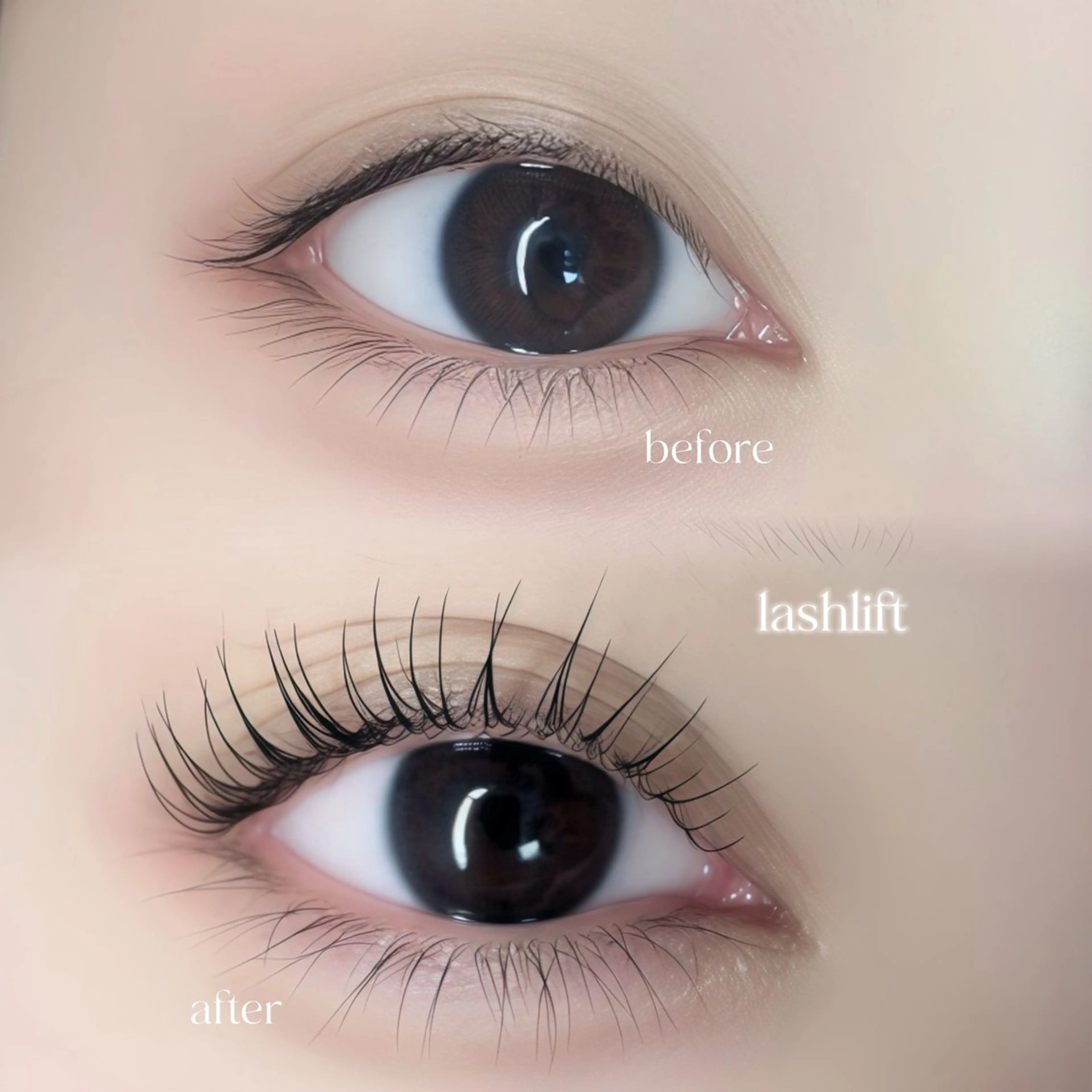 マツエク・マツパ eyelash 🐰 パーマ眉のマツエク・マツパデザイン