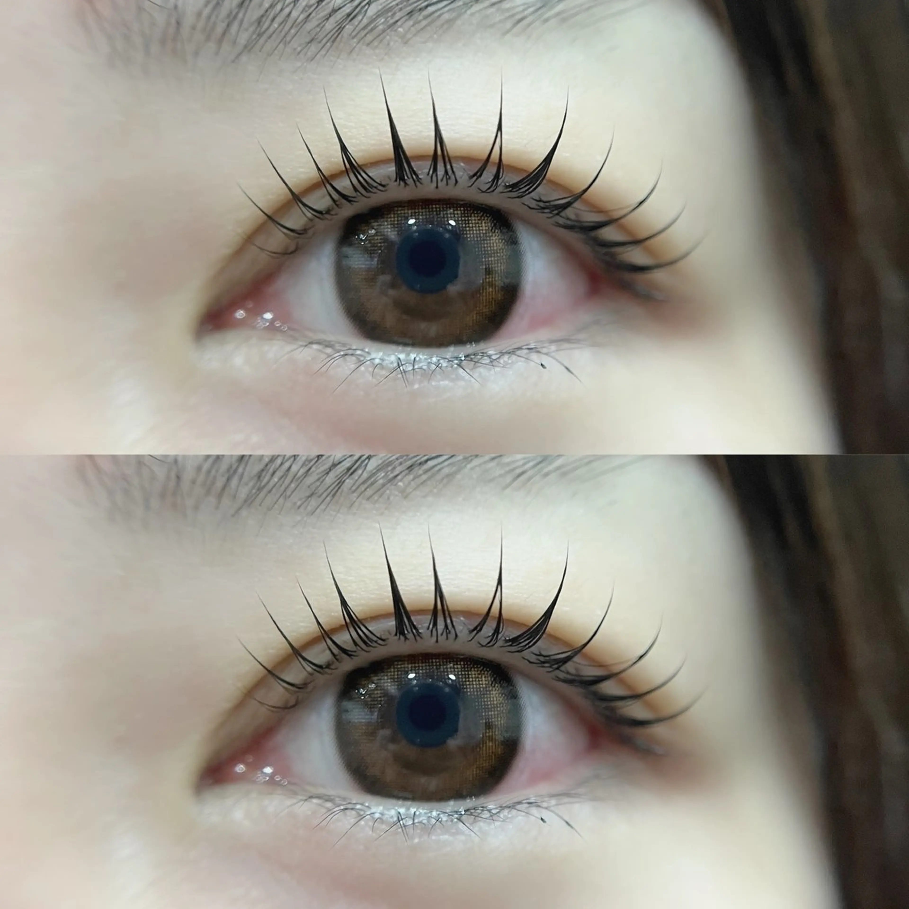 【人気No.1】まつ毛パーマ［上のみ］の写真