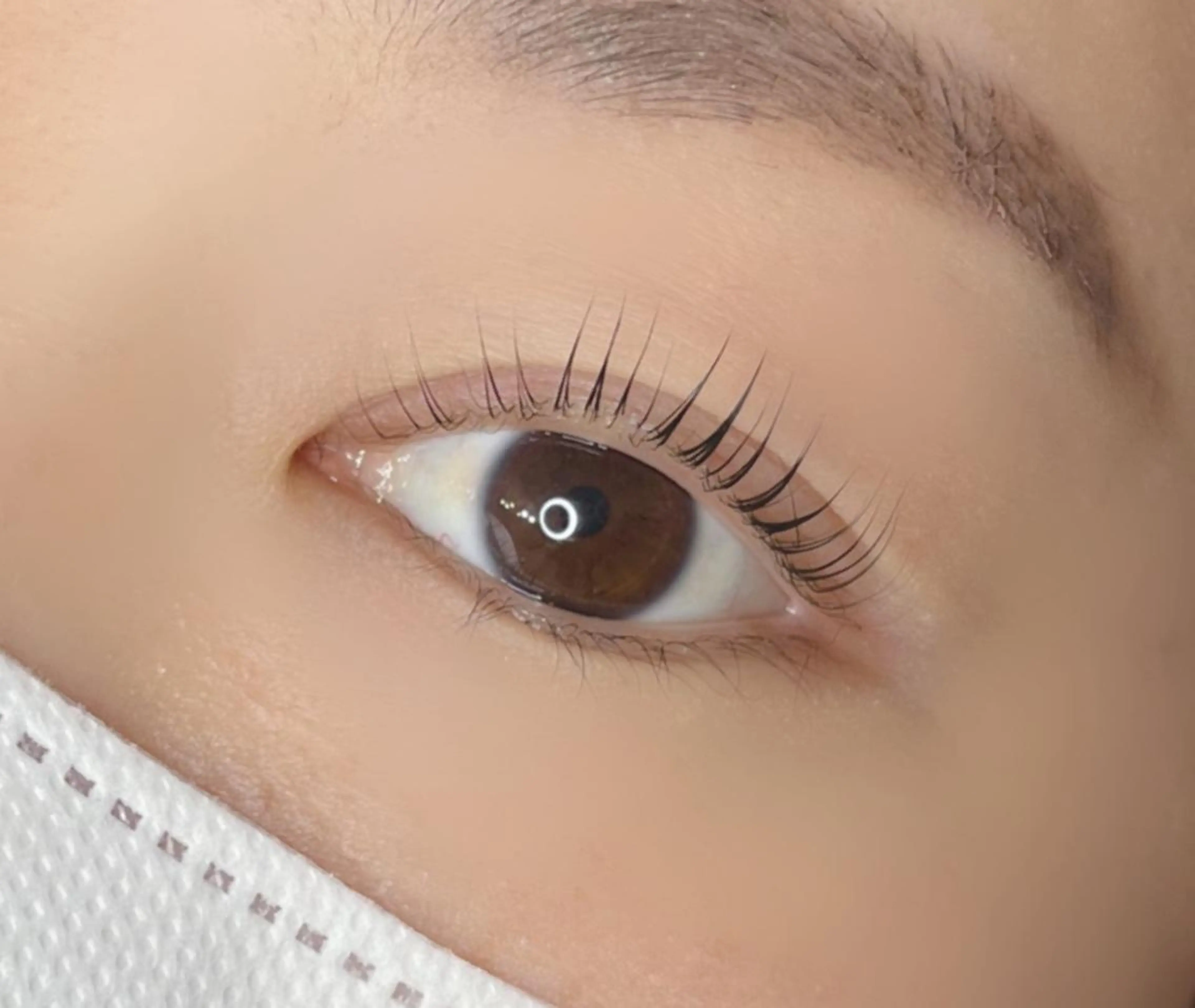 マツエク・マツパ 《eyelash ｉｉｔｅ》森のマツエク・マツパデザイン