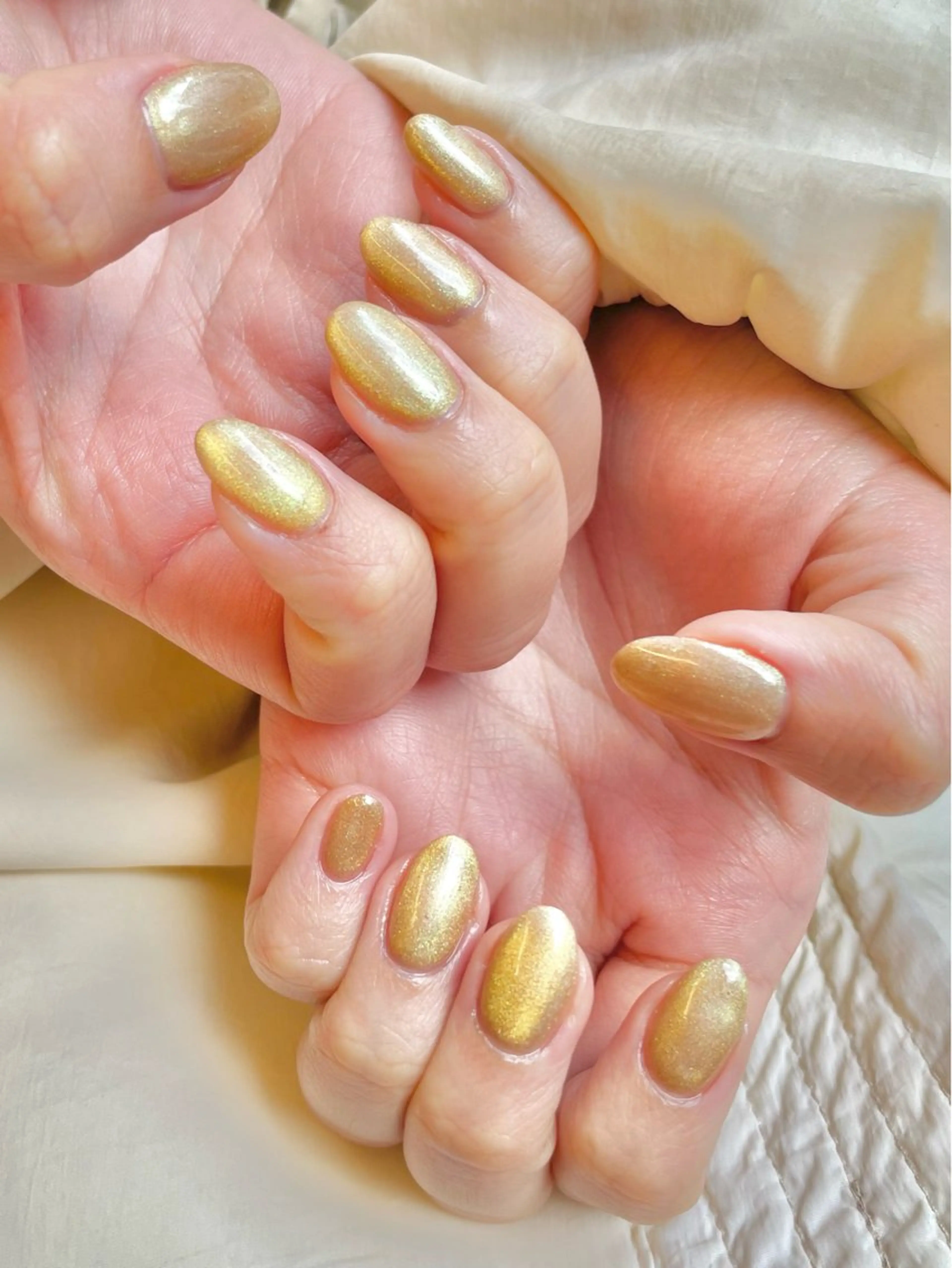 ネイル マグネットネイル 堀内 美里のネイルデザイン