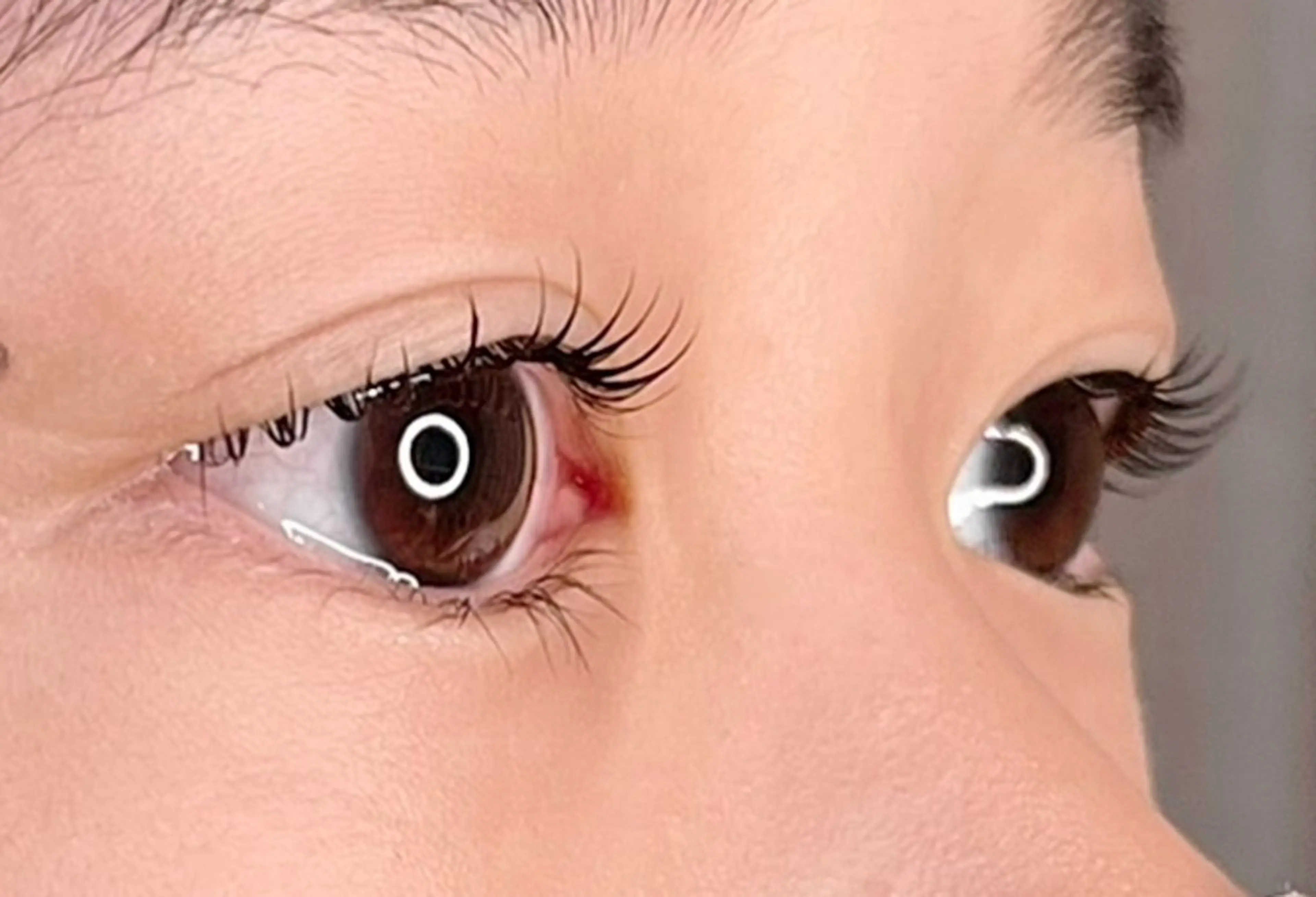 マツエク・マツパ 【CLAIR】 小橋のマツエク・マツパデザイン