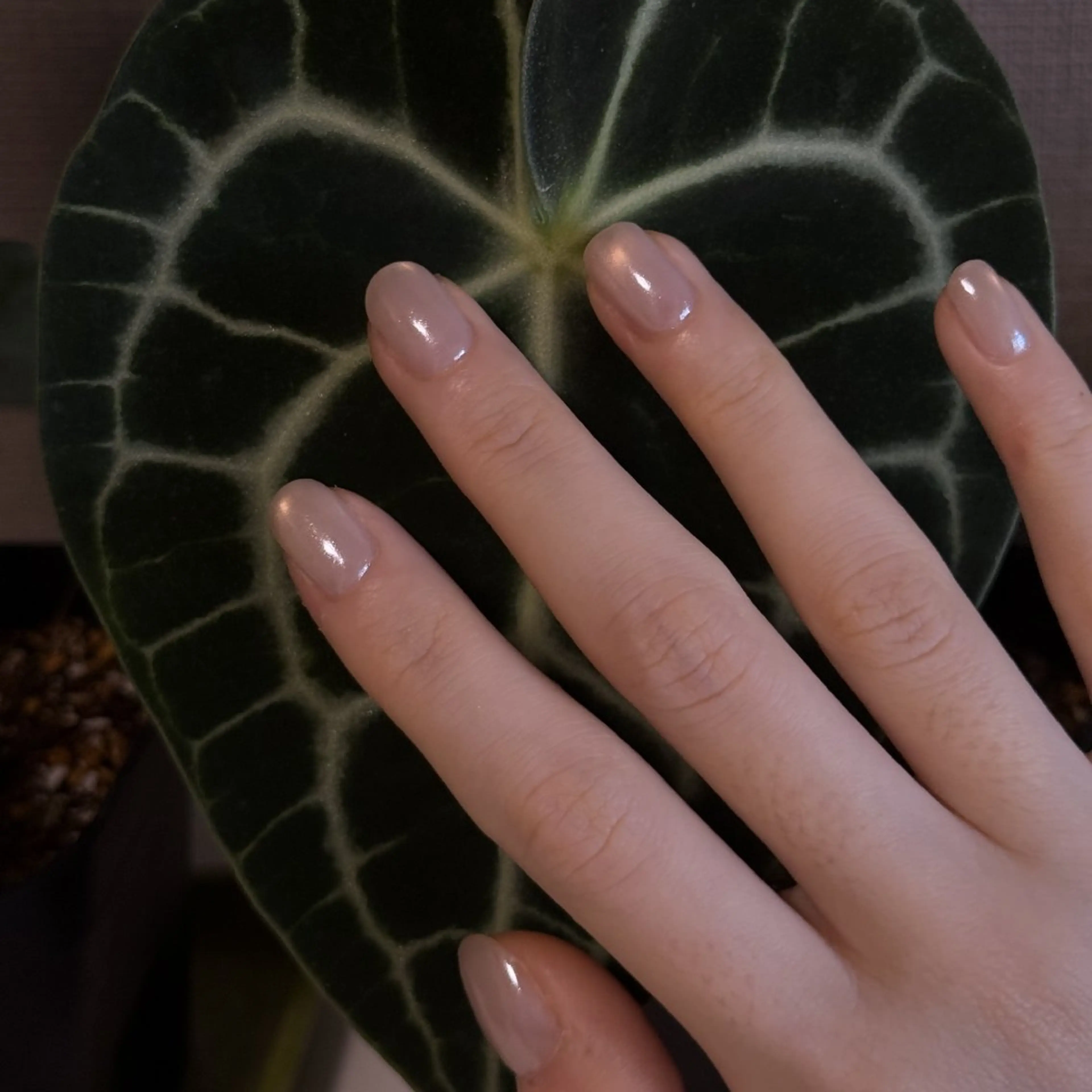 ネイル ハンドネイル ハンドケア PIPPY  NAILS新宿のネイルデザイン