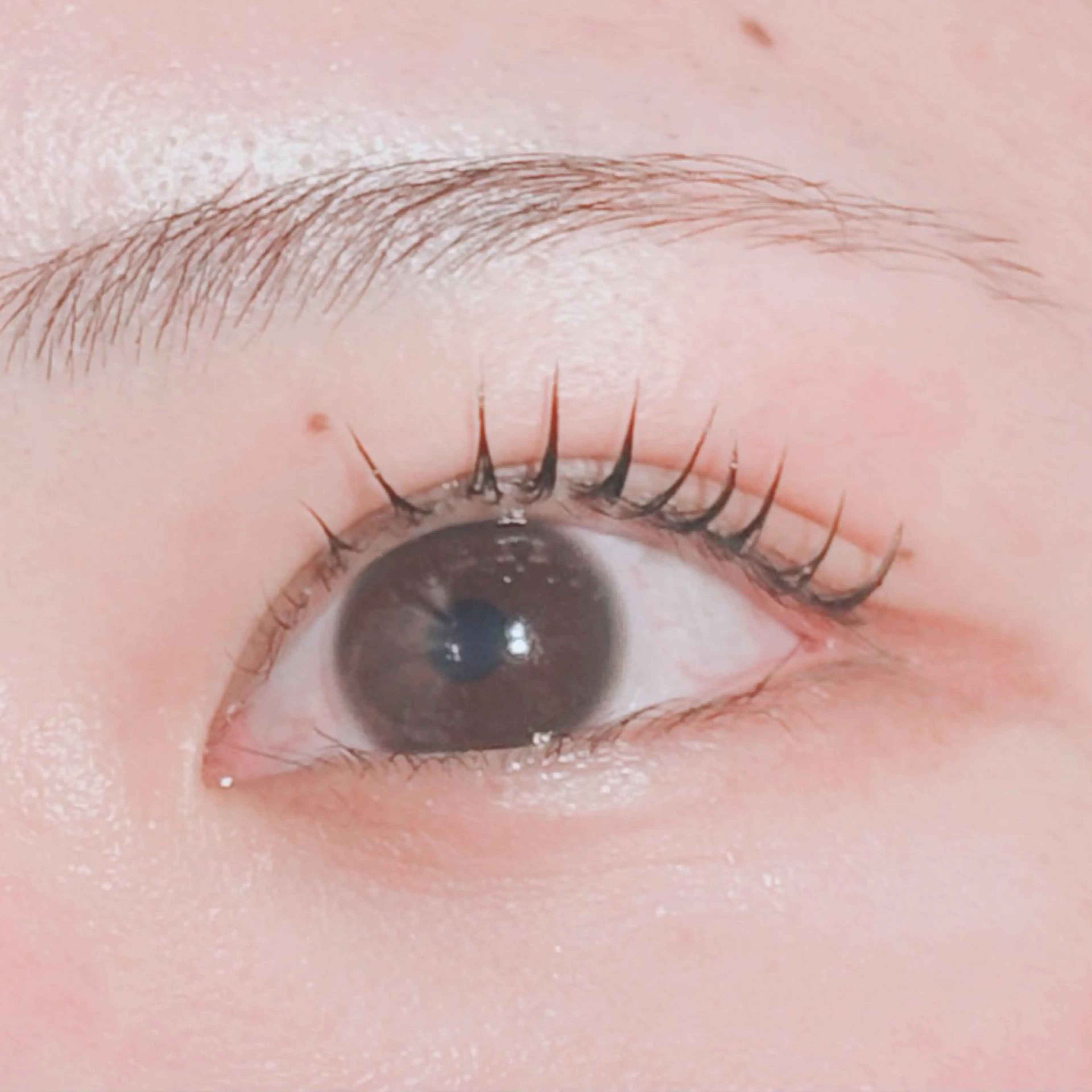 マツエク・マツパ マツパ rad心斎橋 ゆうのマツエク・マツパデザイン