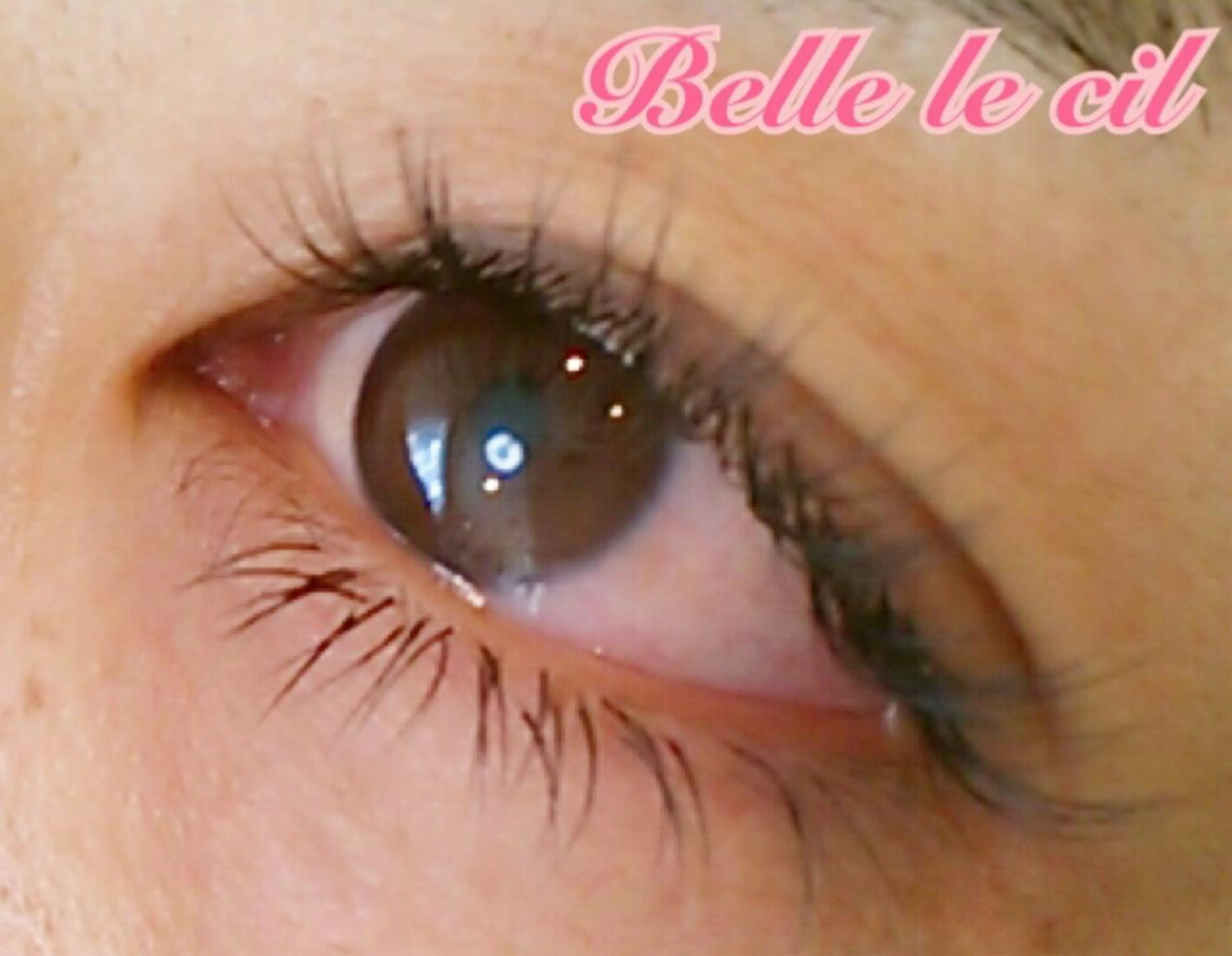 マツエク・マツパ 付け放題 下まつげエクステ マツエク Belle le cilのマツエク・マツパデザイン