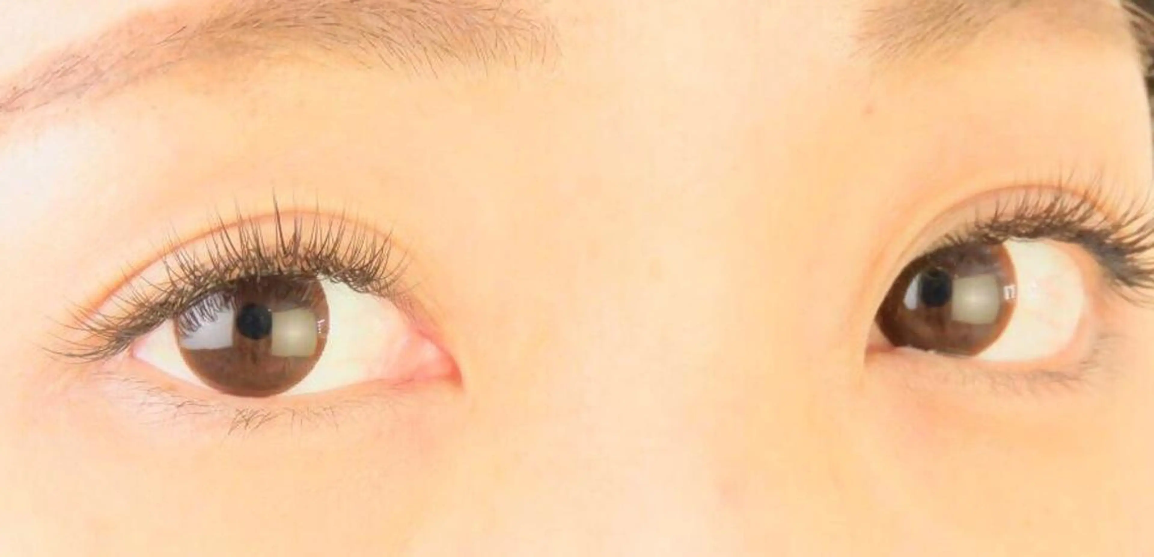 アイブロウスタイリングの写真