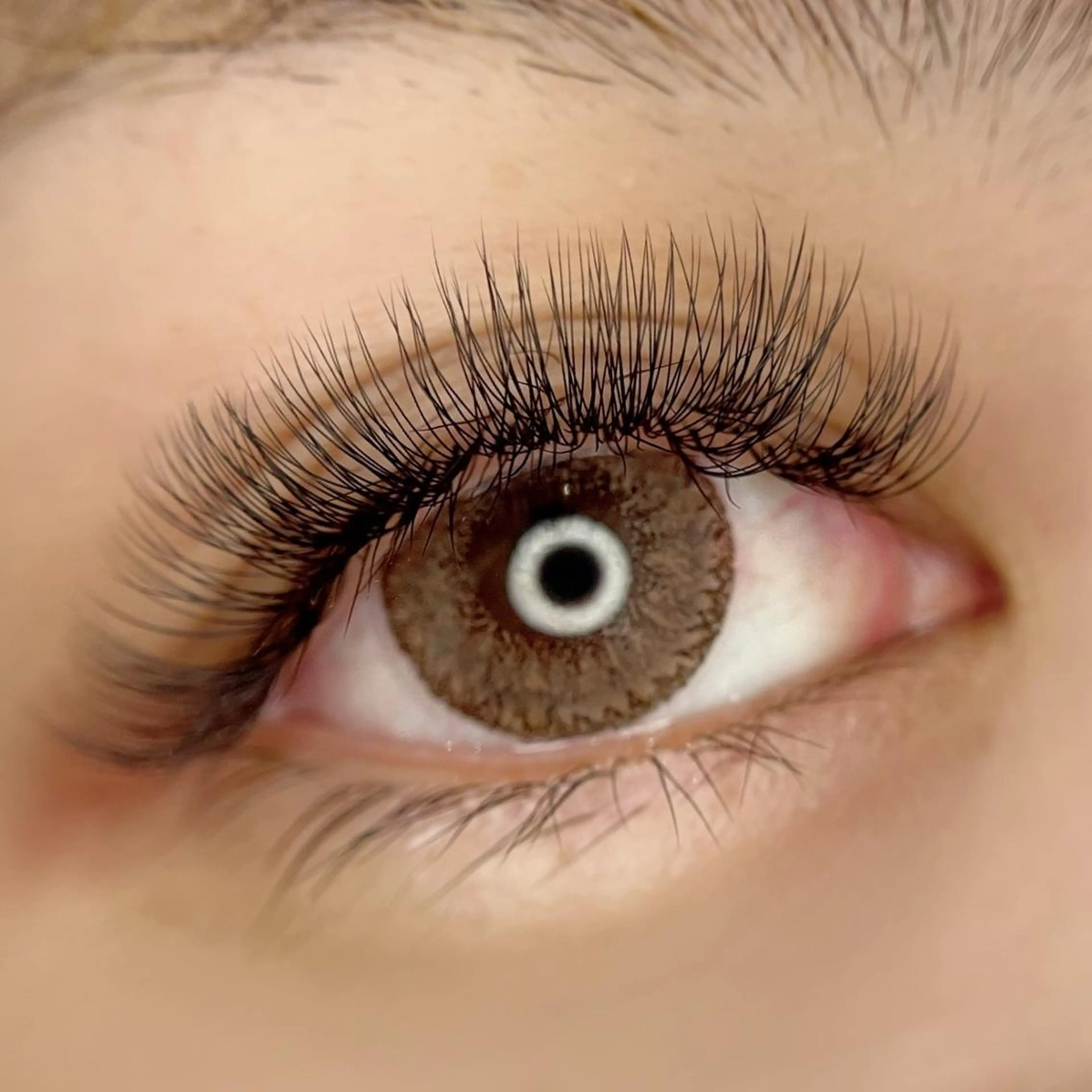 マツエク・マツパ 一ノ瀬 暁のヘアスタイル