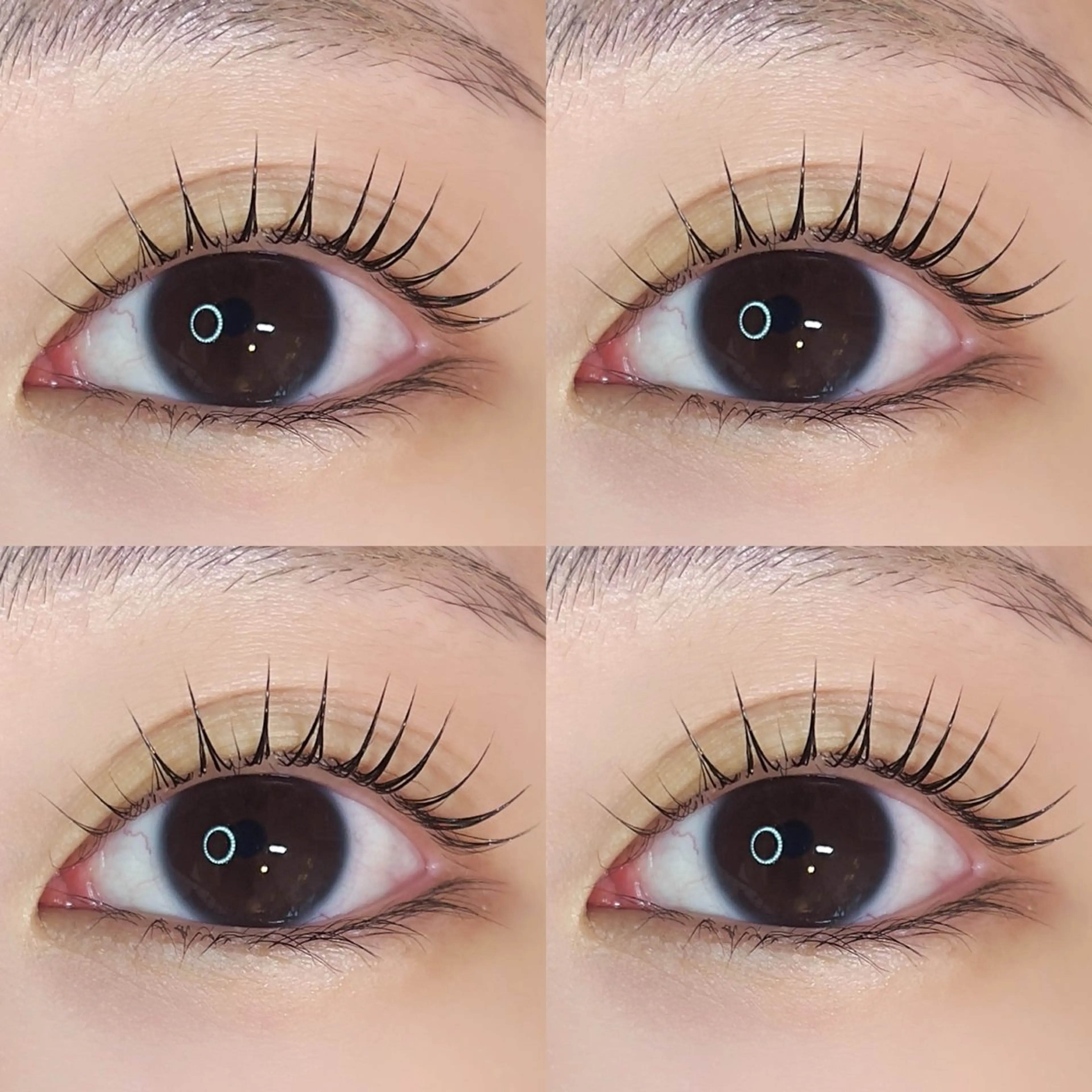 マツエク・マツパ 一重×まつ毛パーマ 恵比寿マツエク /まつぱasumiのマツエク・マツパデザイン