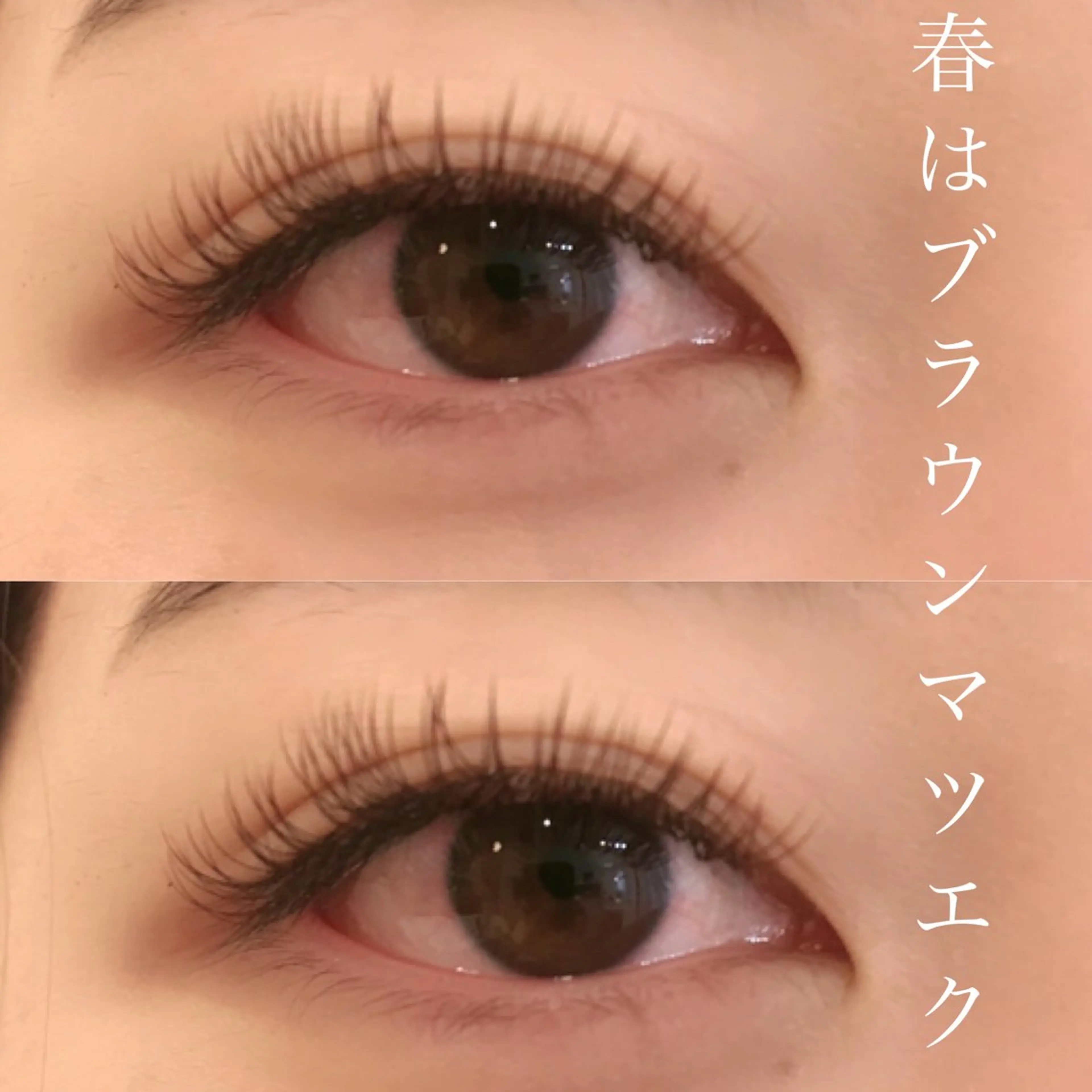 マツエク・マツパ カラーマツエク マツエク メイクアップサロン 【Aquarius】のマツエク・マツパデザイン