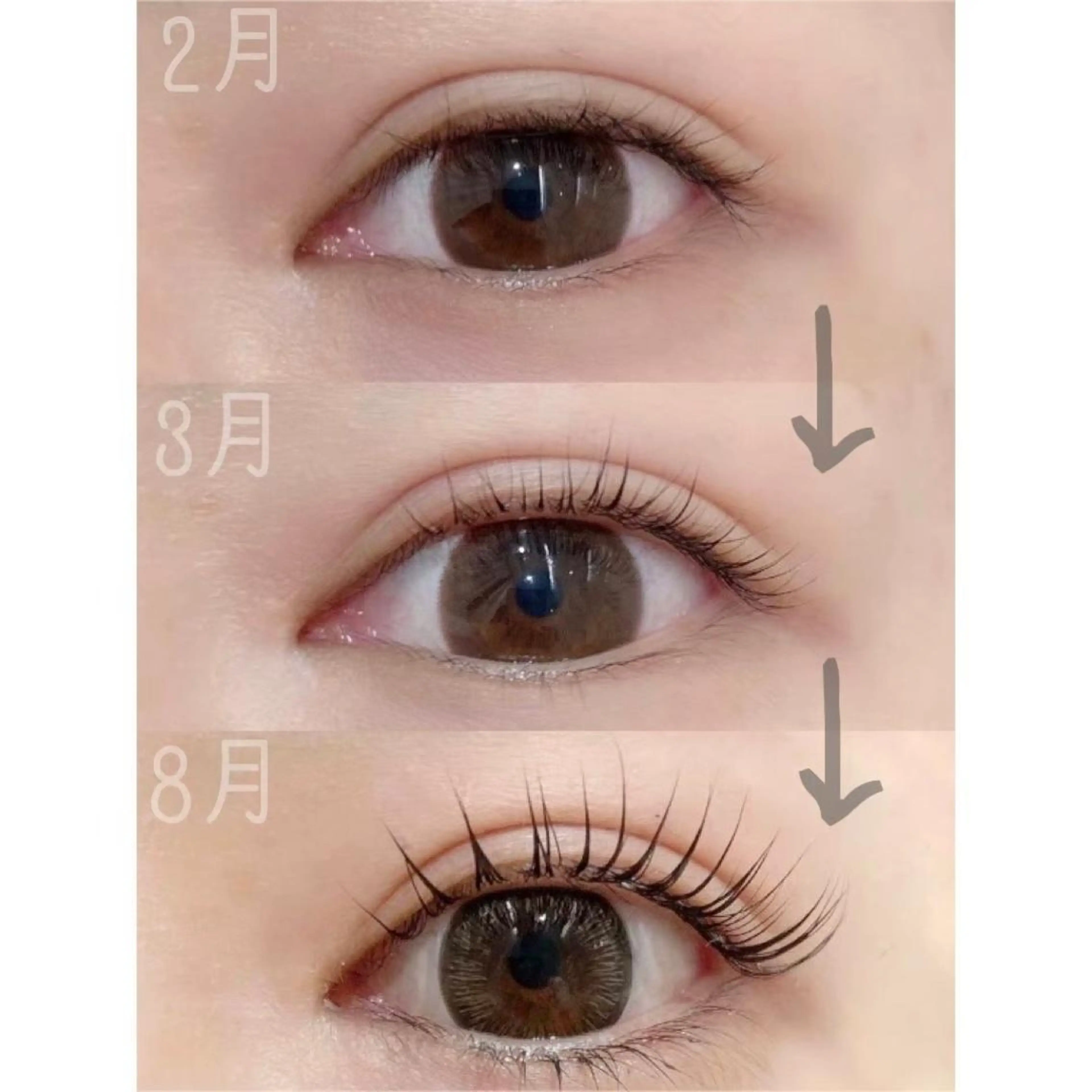 白潟 (シラガタ)の眉毛・アイブロウイメージ