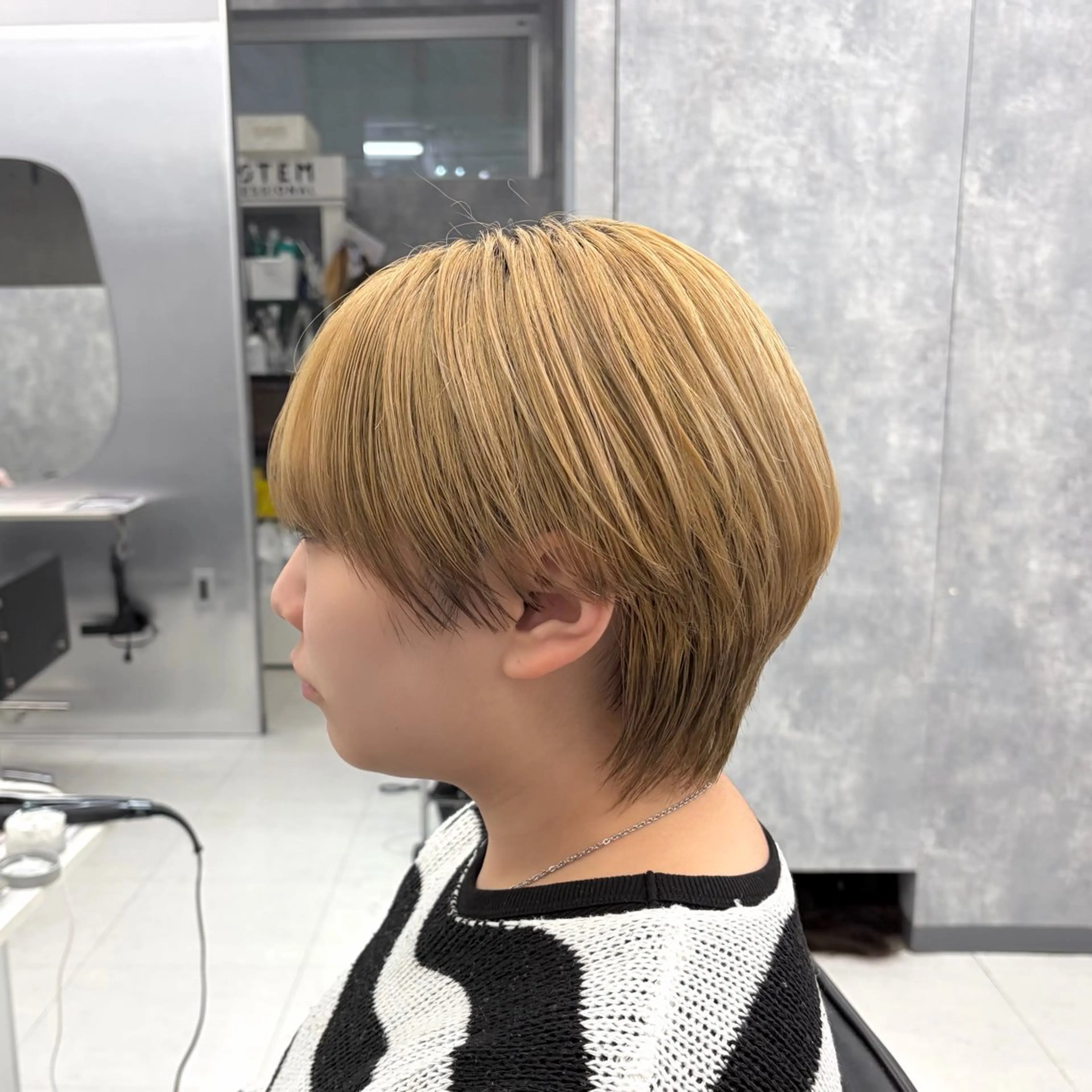 ショート メンズ カット ʜᴀʀᴜᴋᴀ♱メンズ ウルフ/ブリーチのヘアスタイル