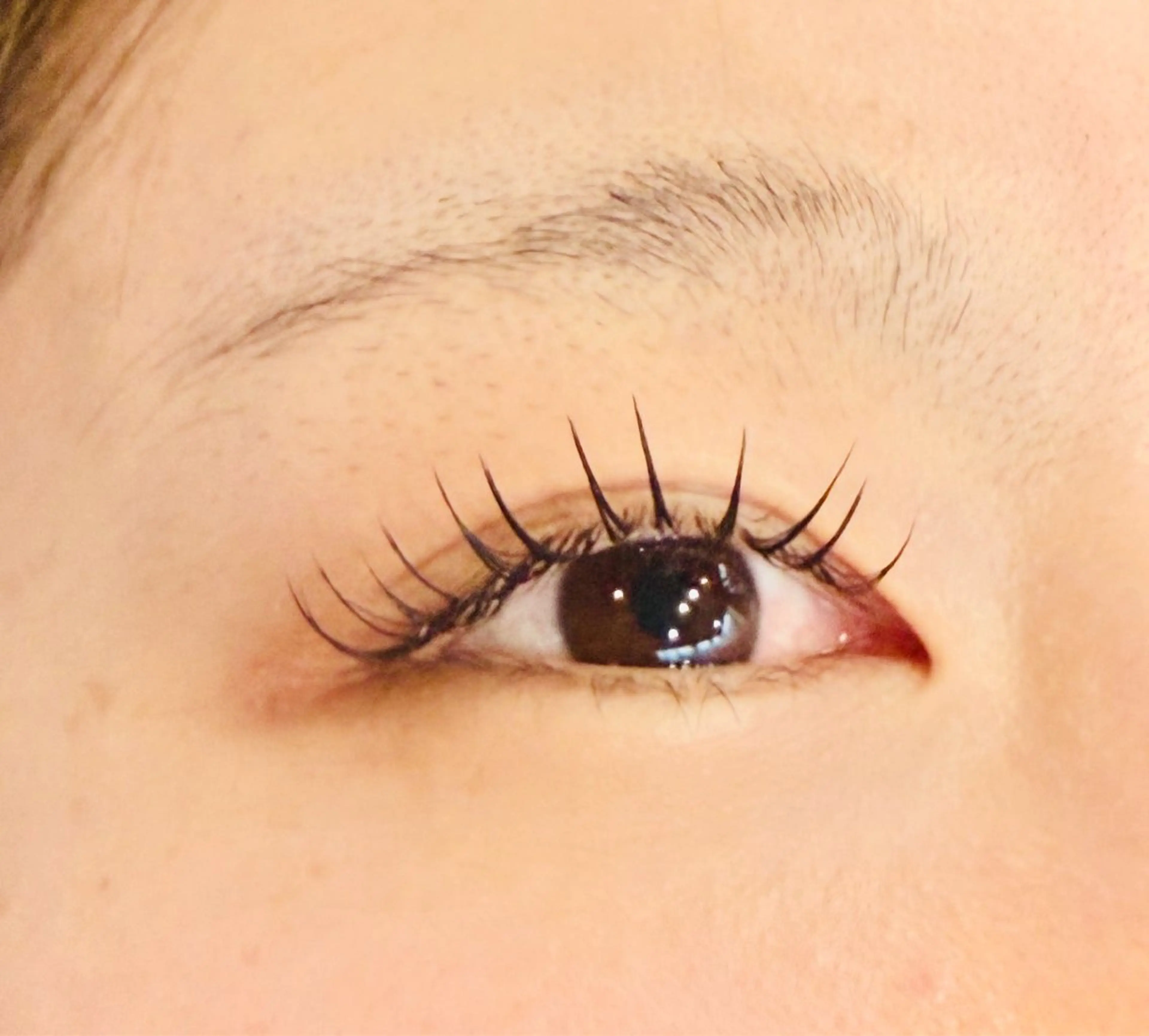 1日2名ご新規様限定!!  フラットマットラッシュ上下付け放題  ※お時間1時間半前後見て頂いております。の写真