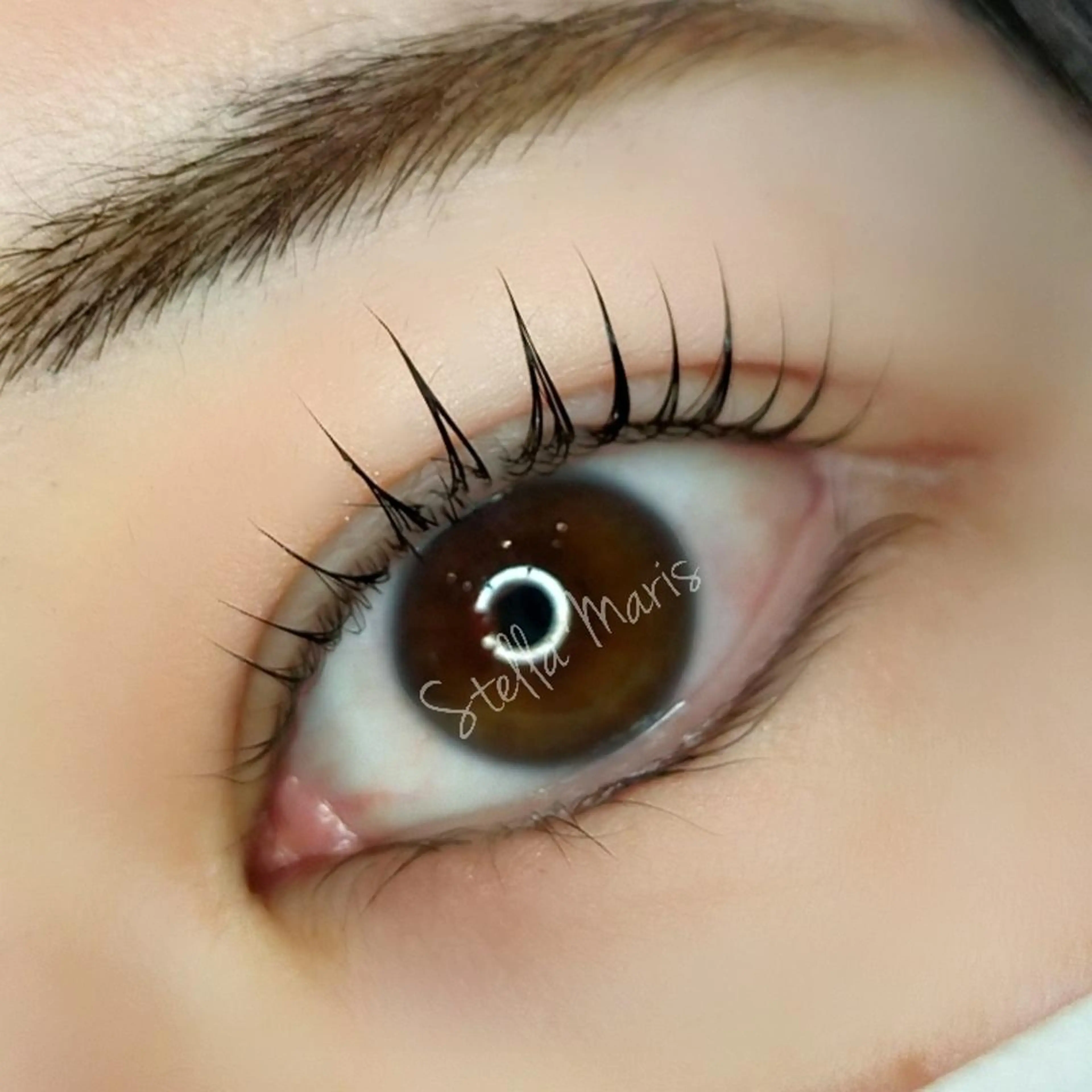 マツエク・マツパ 🌼ステラマリス🌼 Hiranoのマツエク・マツパデザイン