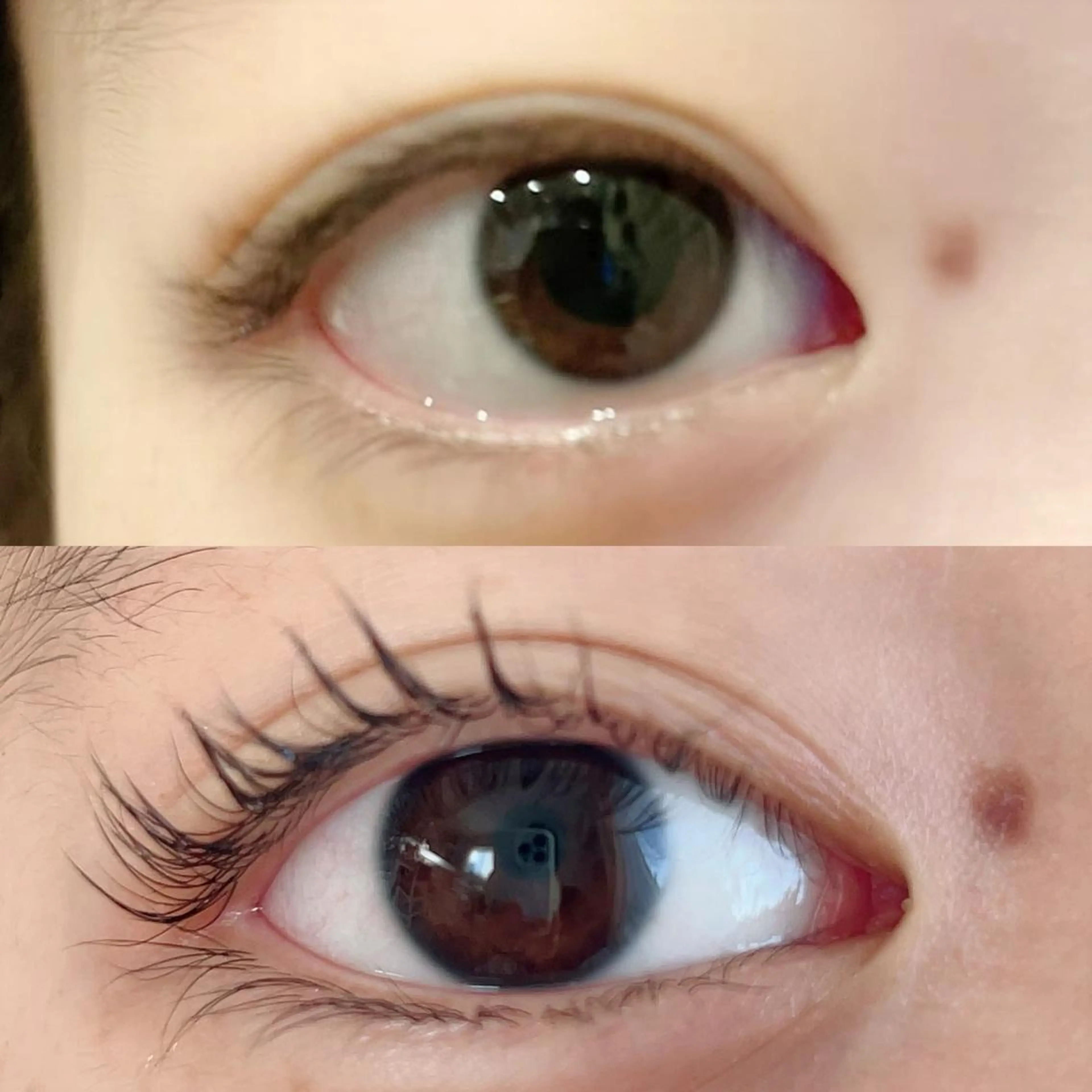 マツエク・マツパ chou chou シュシュのマツエク・マツパデザイン