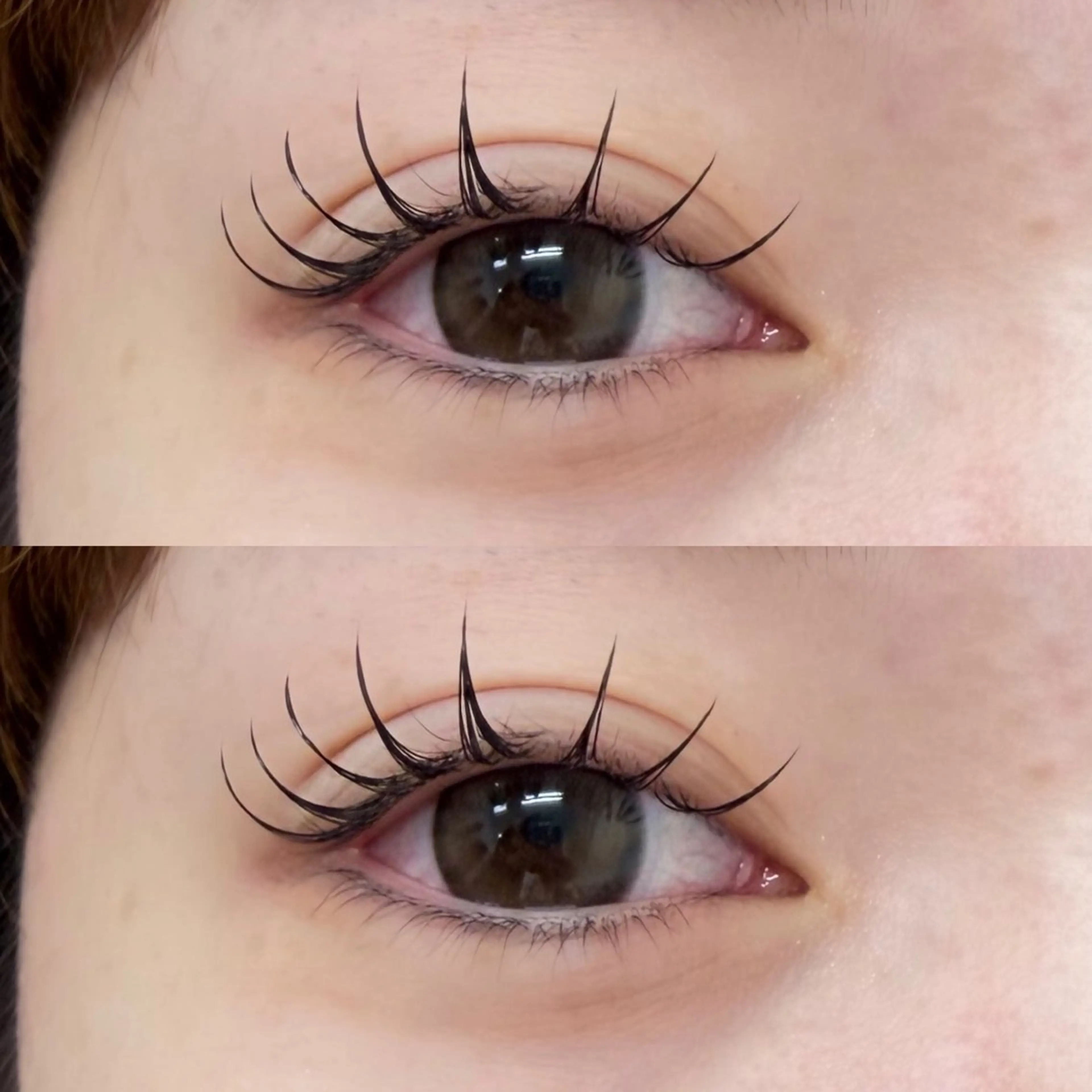 【4月ご新規様限定✨️】フラットラッシュ 100本 ￥4500 ※指名料＋330 高円寺/中野/阿佐ヶ谷📍の写真